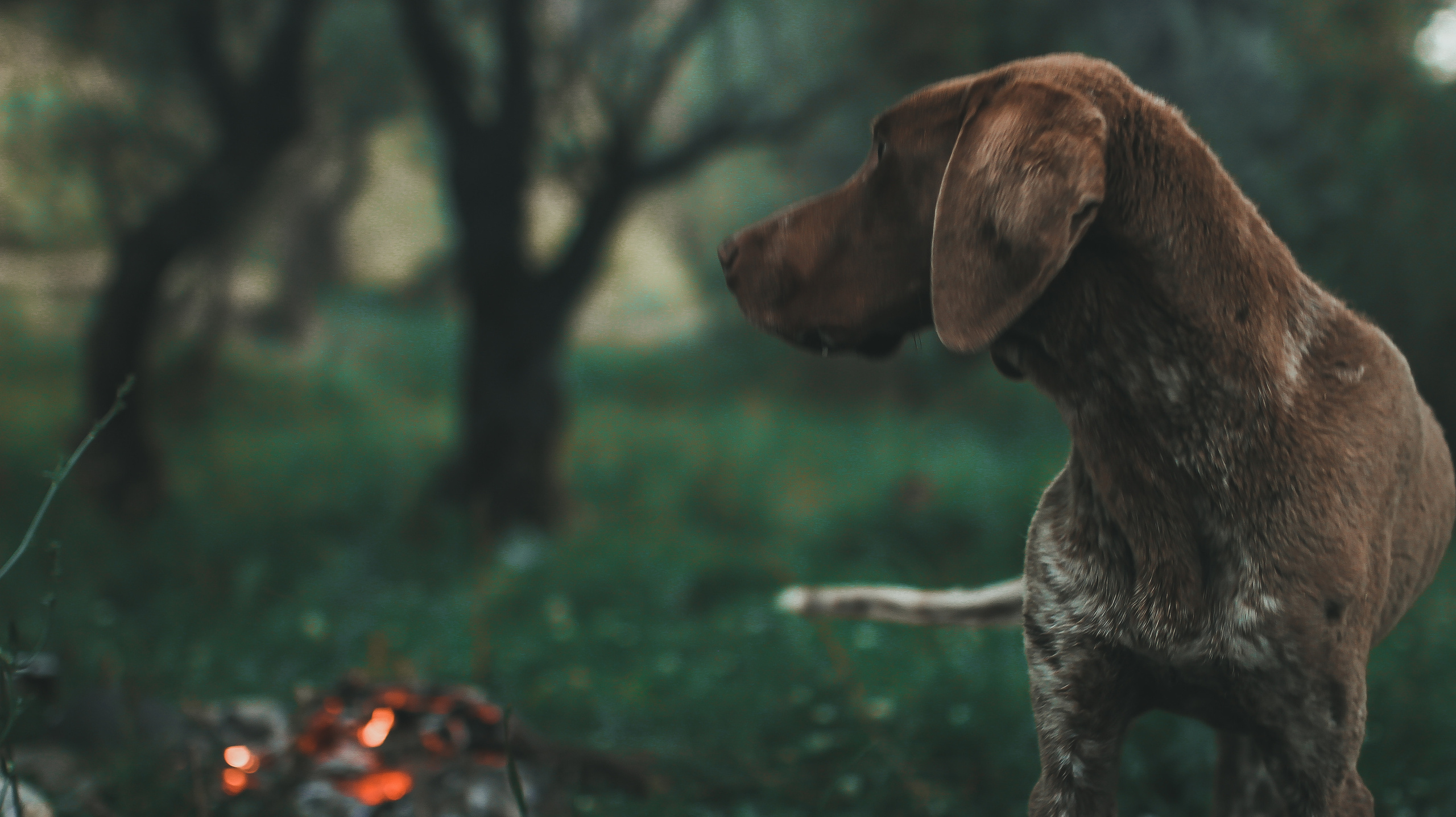 Гамарджоба генацвале. Детский и семейный фотограф Малых Ольга г. Салехард