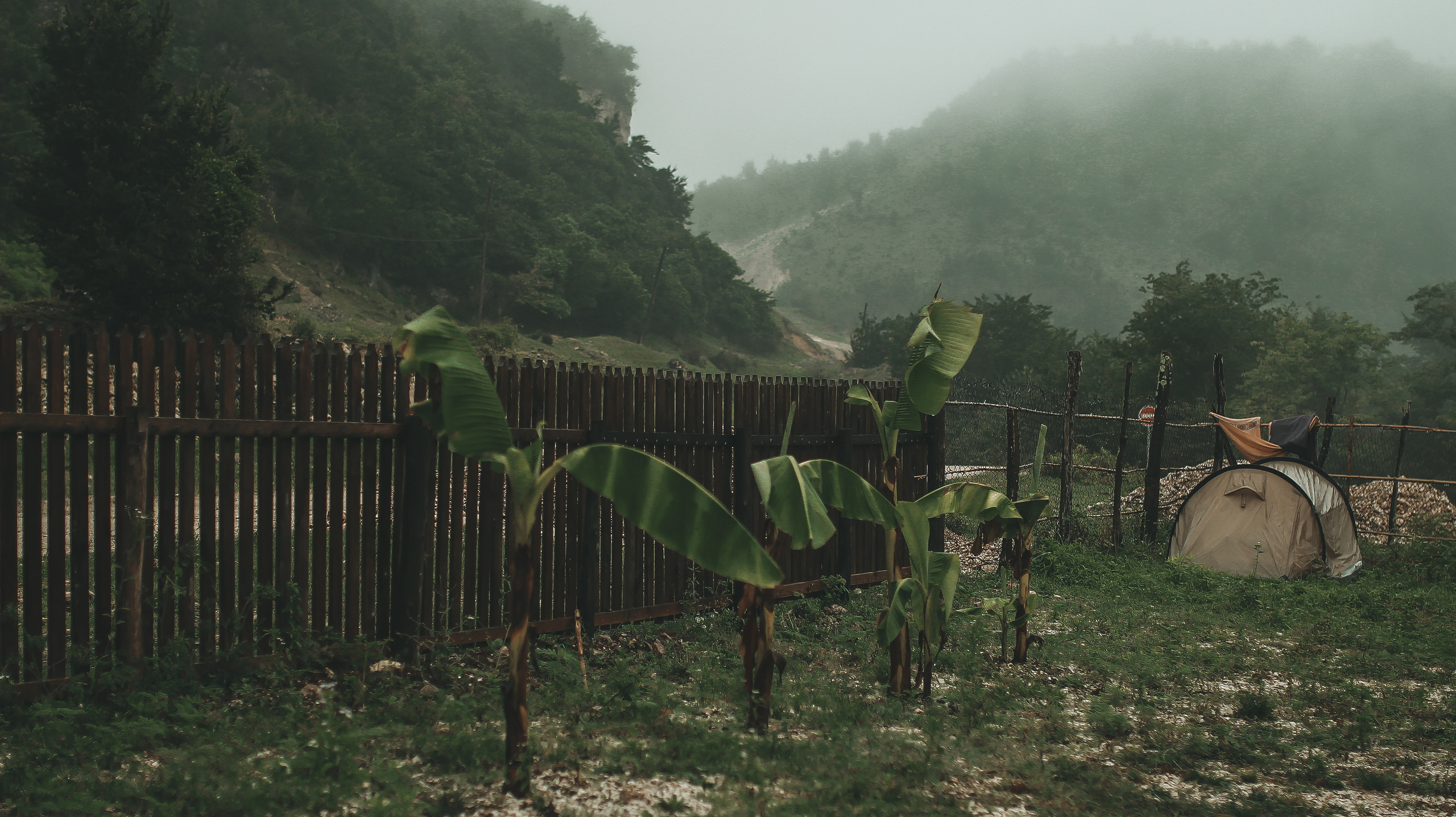 Гамарджоба генацвале. Детский и семейный фотограф Малых Ольга г. Салехард