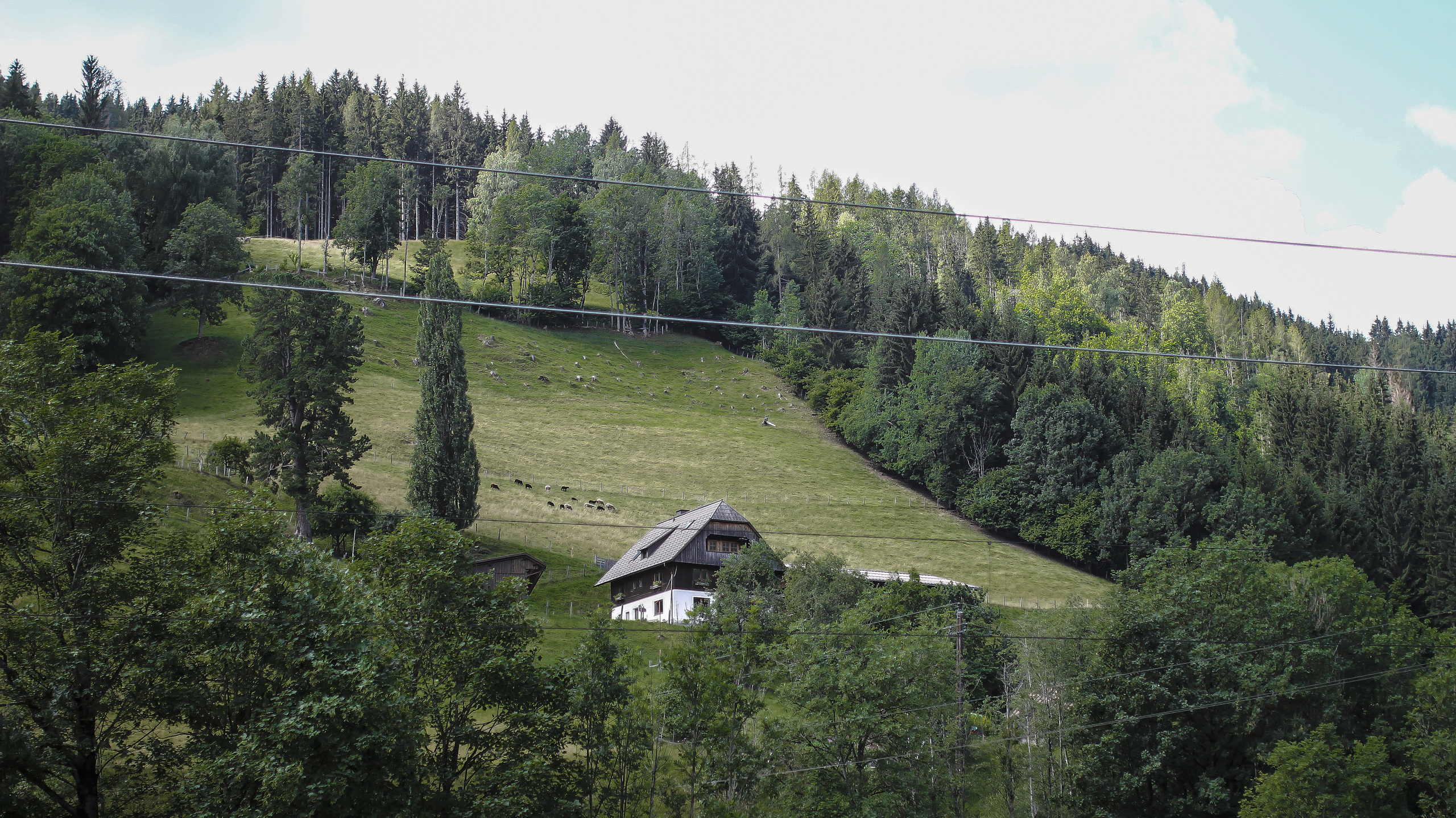 «Белое золото» альпийских гор. Детский и семейный фотограф Малых Ольга г. Салехард