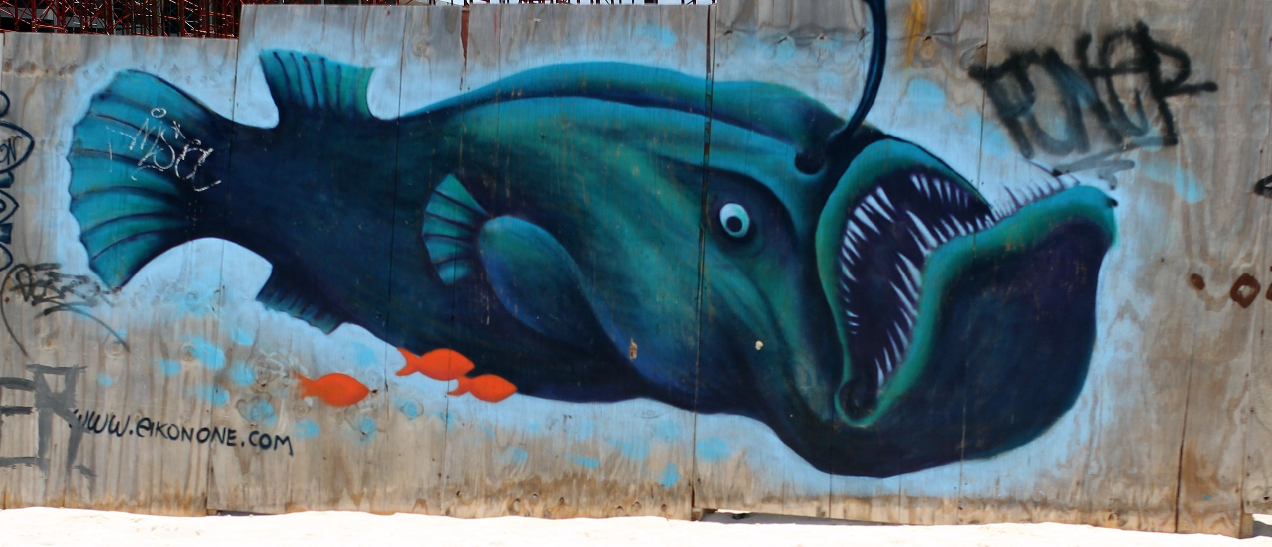 Mexico. Детский и семейный фотограф Малых Ольга г. Салехард