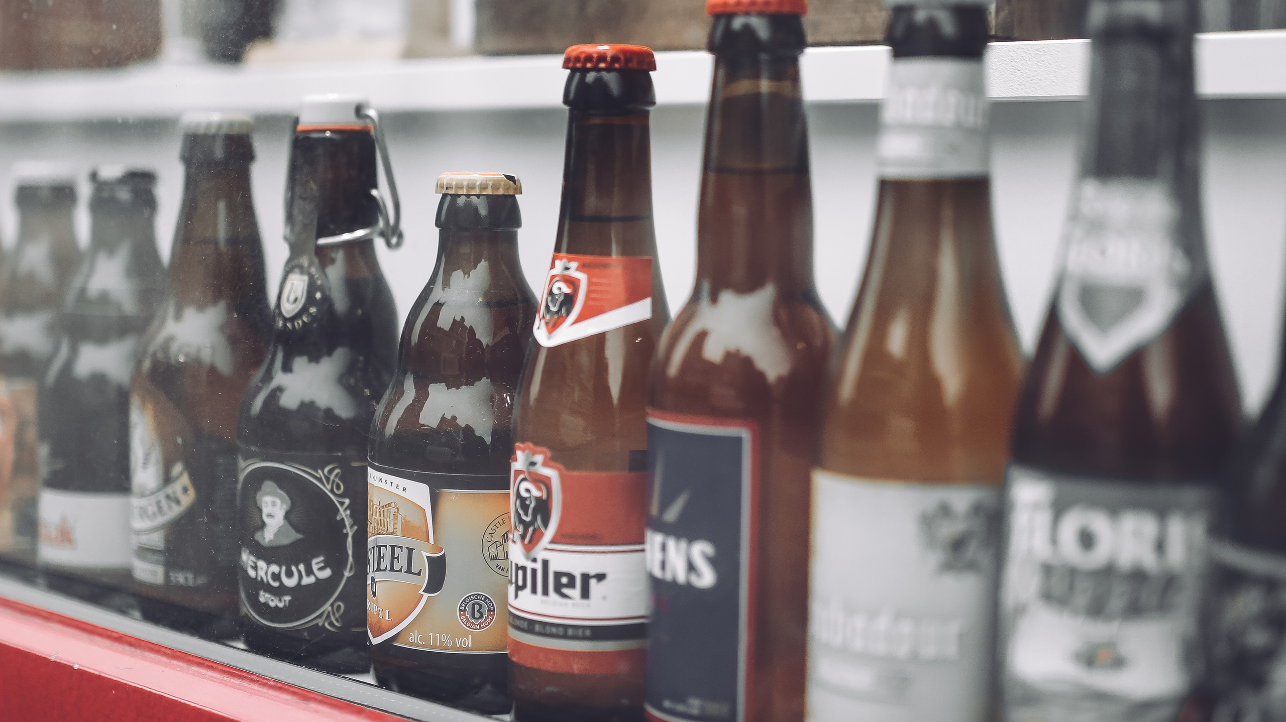 Немо-33. Детский и семейный фотограф Малых Ольга г. Салехард