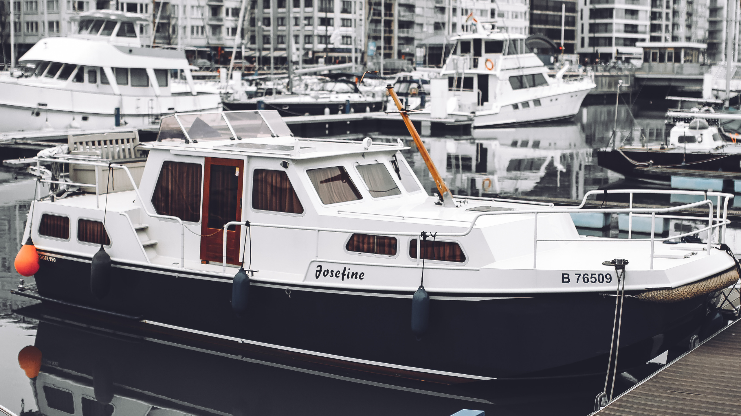 Немо-33. Детский и семейный фотограф Малых Ольга г. Салехард