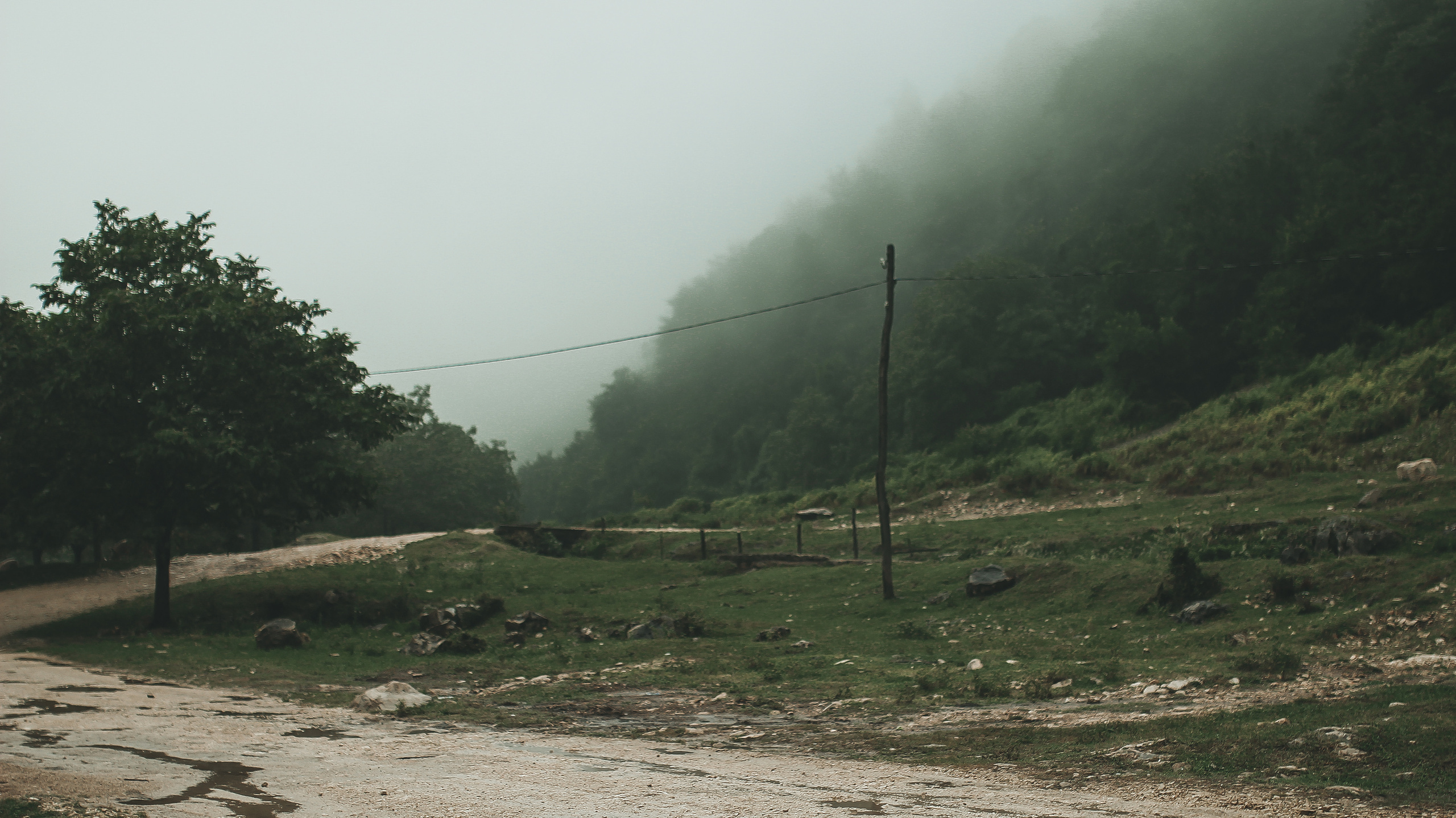 Гамарджоба генацвале. Детский и семейный фотограф Малых Ольга г. Салехард