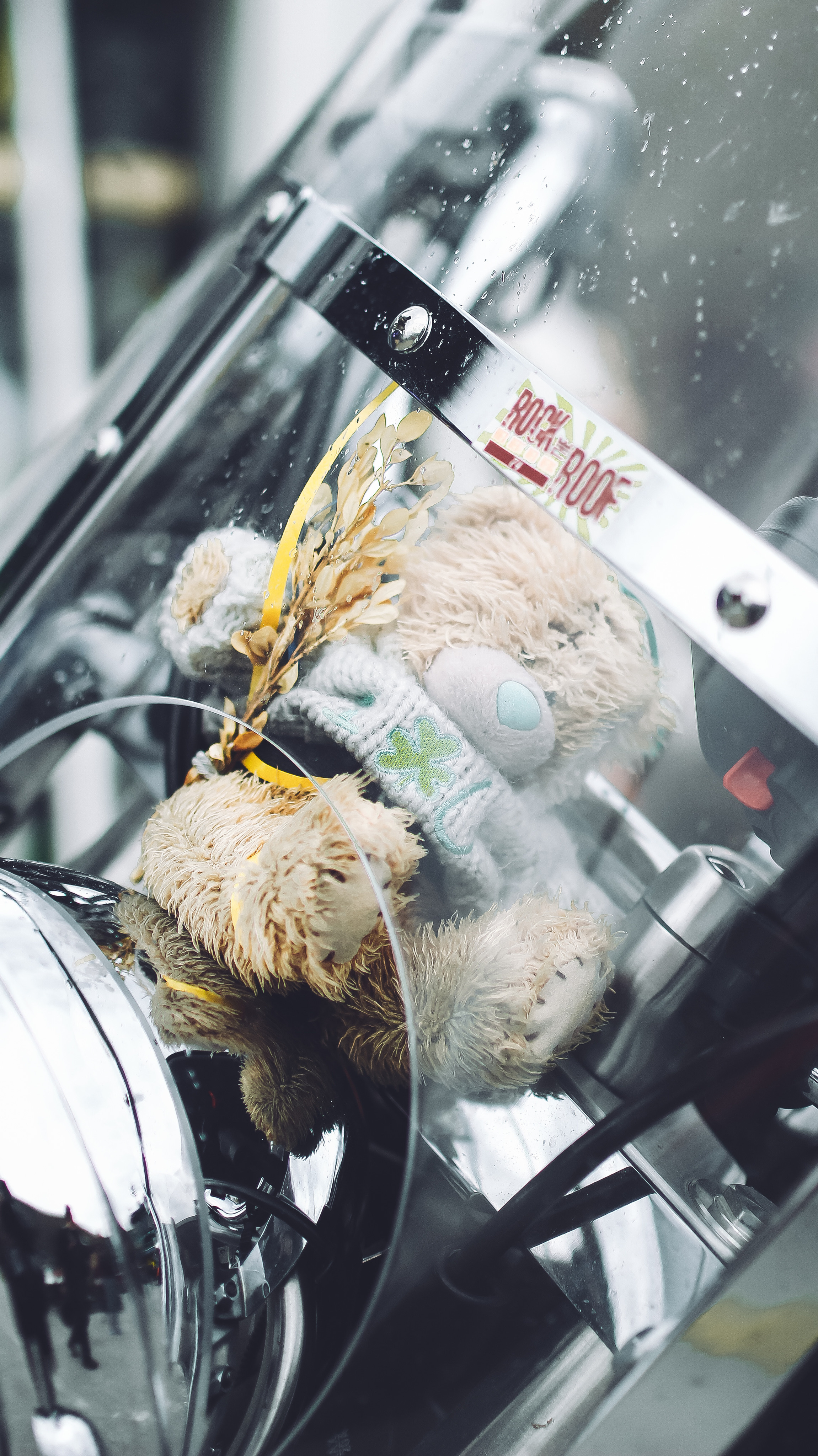 «Белое золото» альпийских гор. Детский и семейный фотограф Малых Ольга г. Салехард