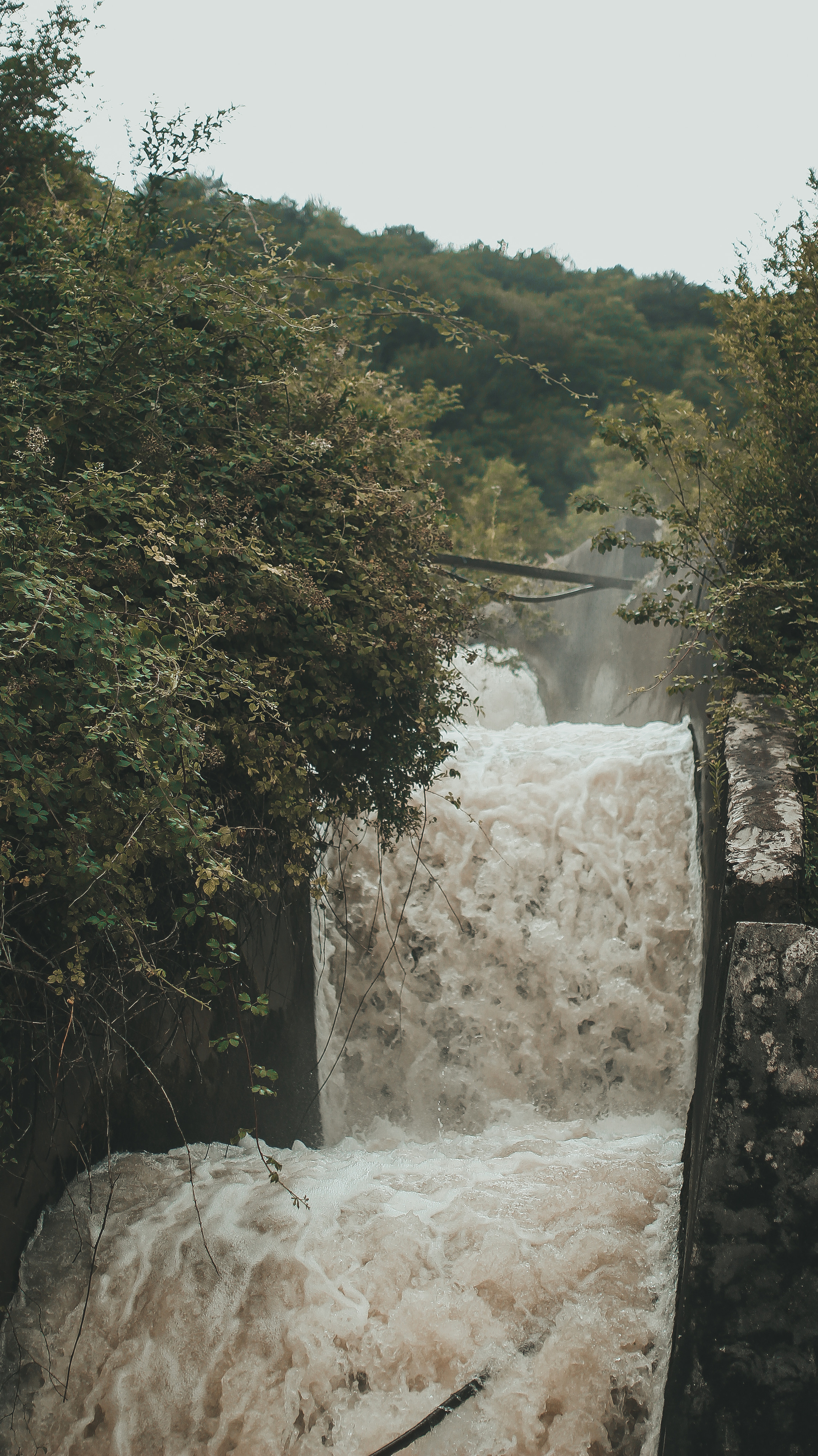 Гамарджоба генацвале. Детский и семейный фотограф Малых Ольга г. Салехард