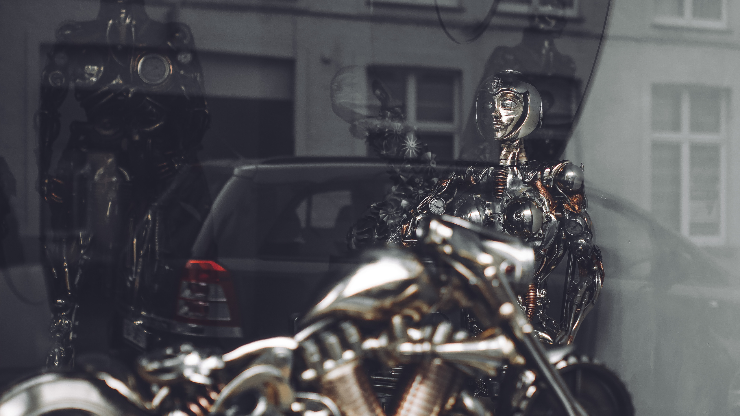 Немо-33. Детский и семейный фотограф Малых Ольга г. Салехард