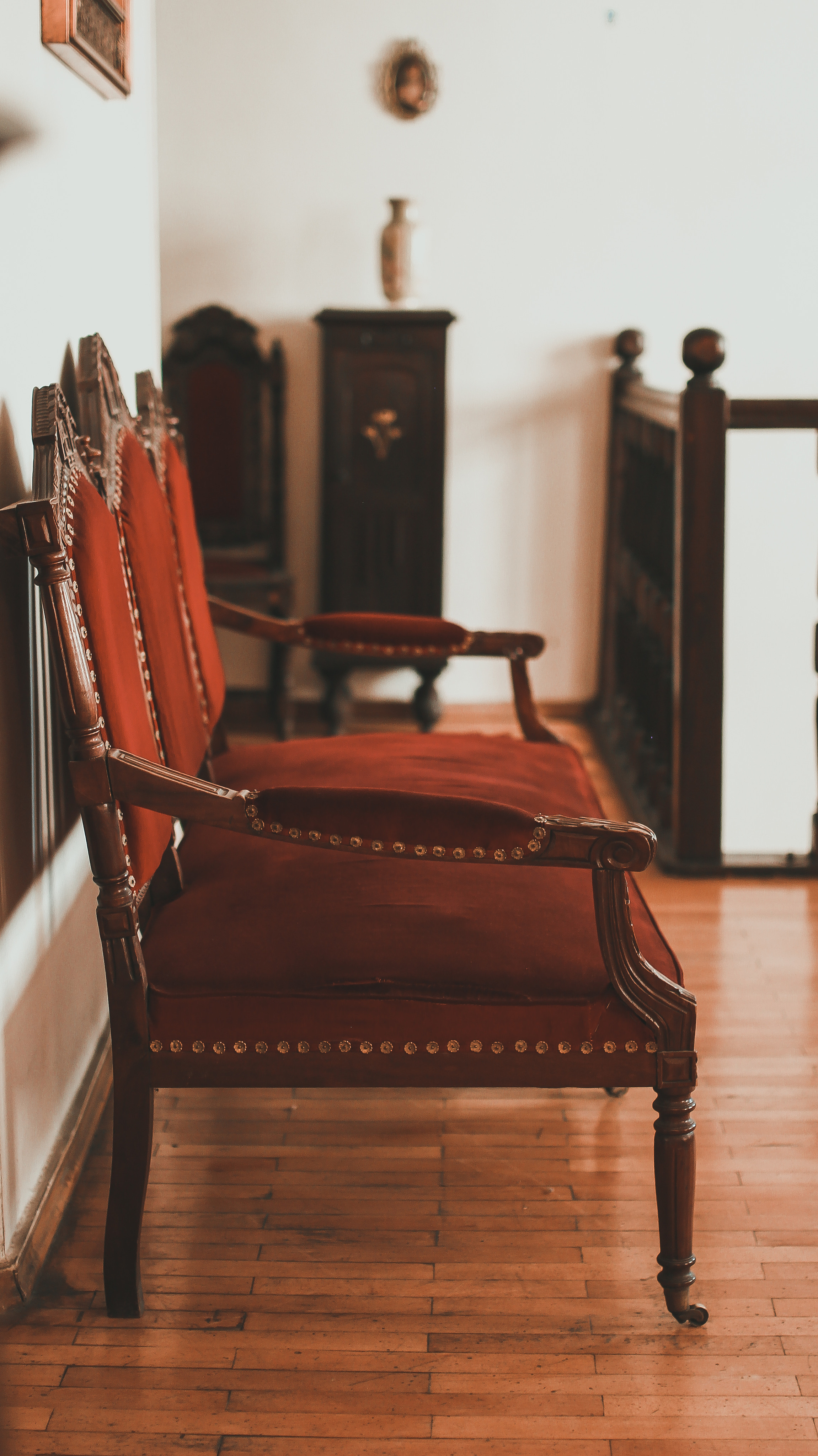 Гамарджоба генацвале. Детский и семейный фотограф Малых Ольга г. Салехард