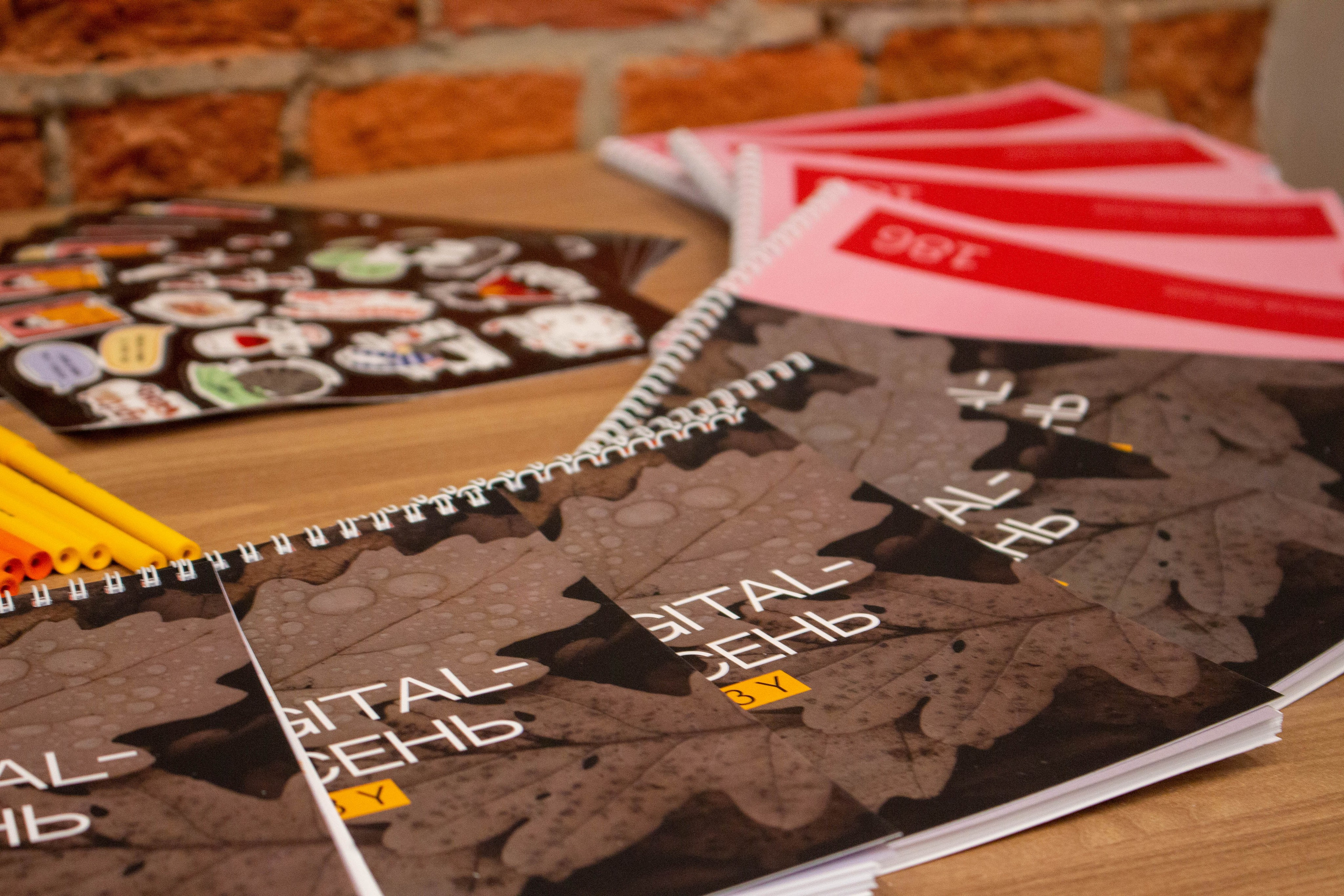 Конференция «Digital Осень». Фотограф Шагалов Михаил