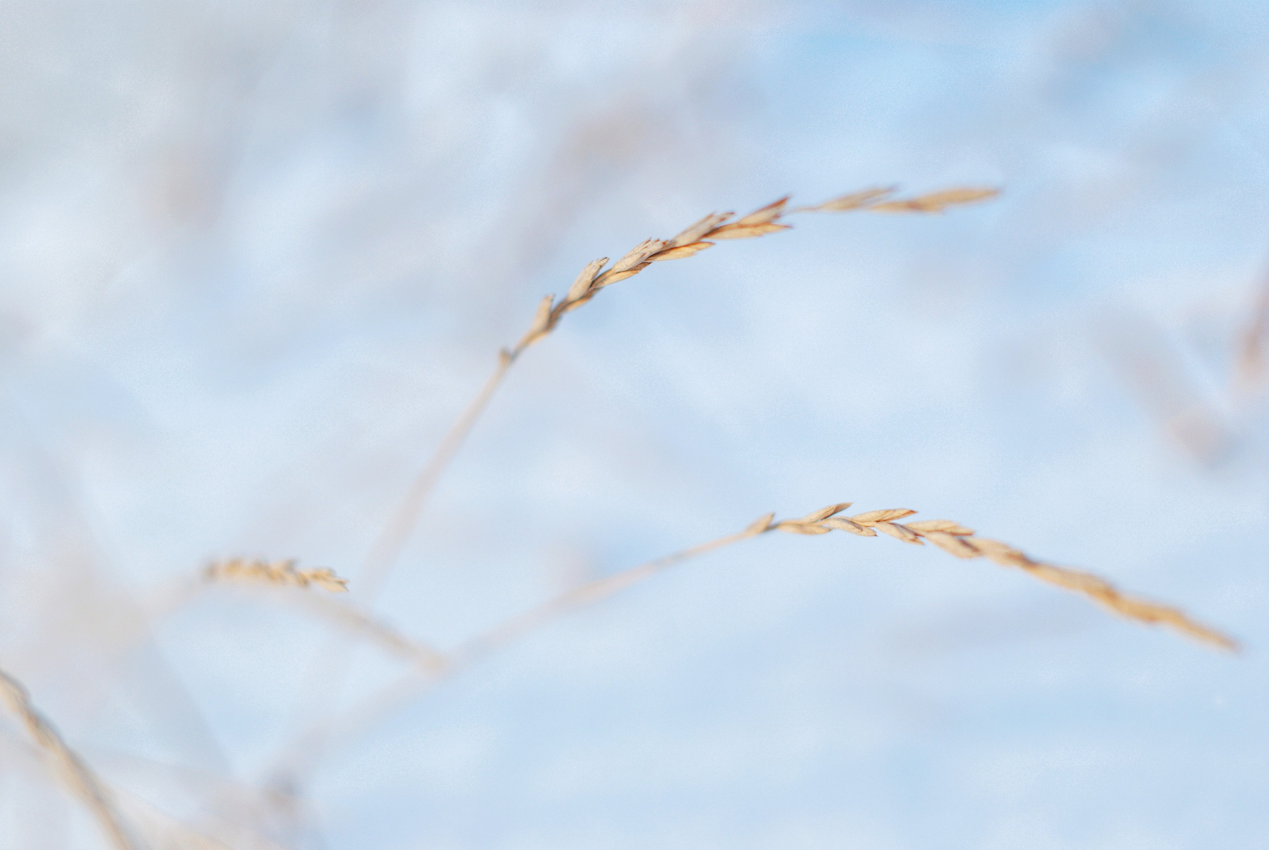 Этот прекрасный мир