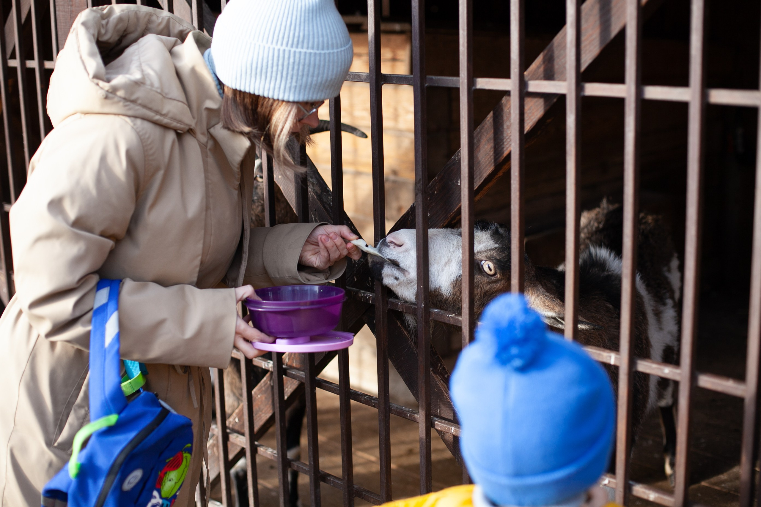 Сады Мечты. Контент для сайта. Фотограф Дарья Локотко в Красноярске