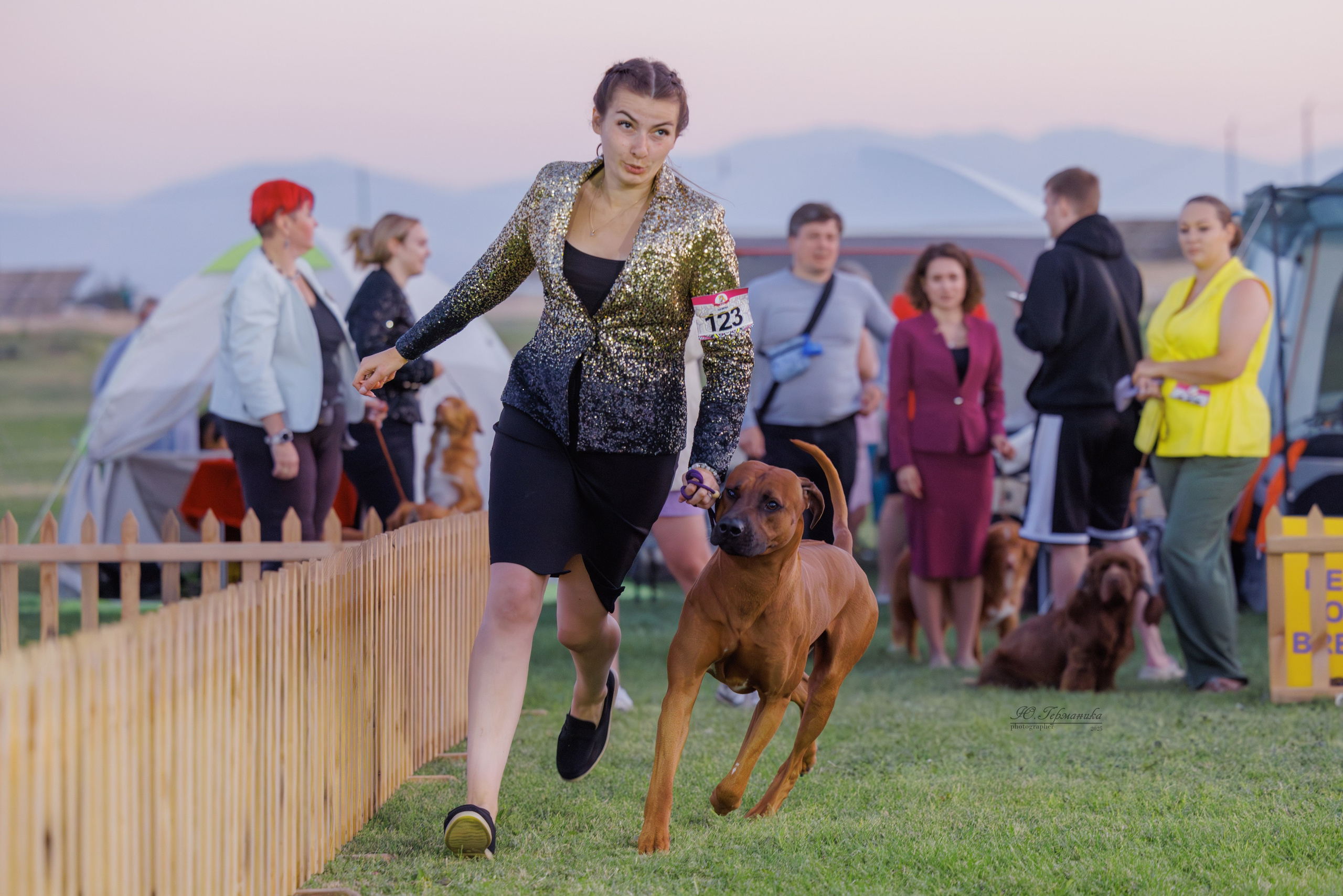 Ереван 3хCACIB 23-25.06.2025. Фотограф-анималист Юлия Германика
