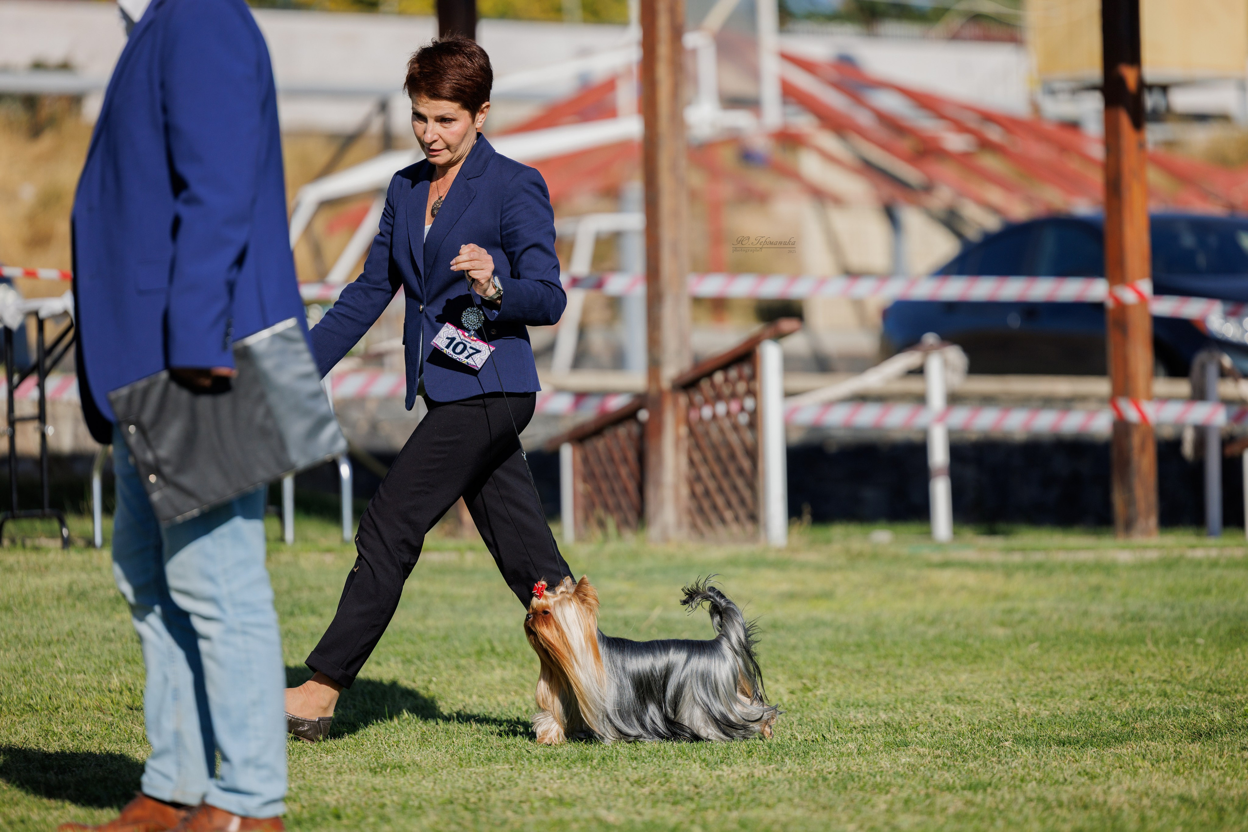 Ереван 14-16.10.2025. Фотограф-анималист Юлия Германика