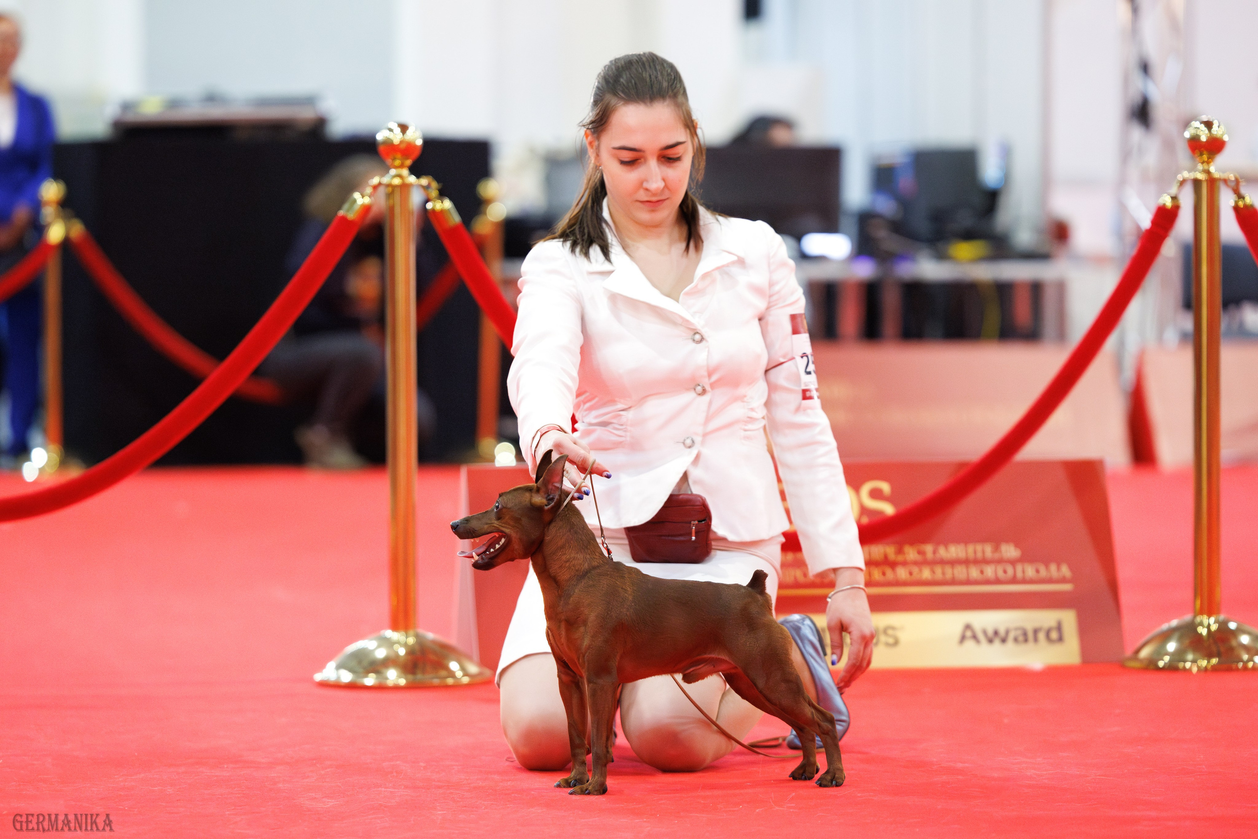 Лучшие Собаки России 17-18.02.2024. Фотограф-анималист Юлия Германика