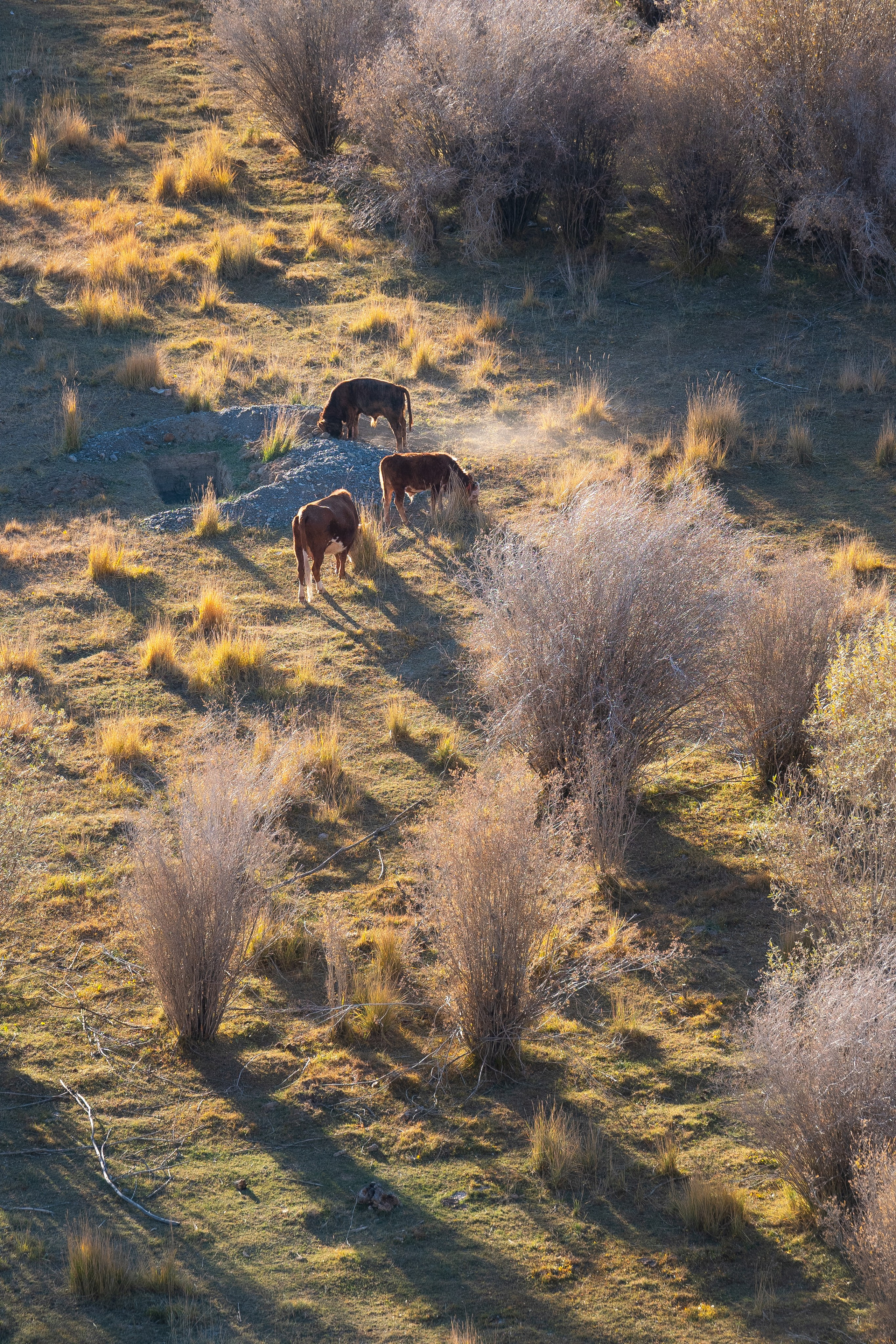 Горный Алтай. Фотограф Антон Денисенко: Портрет, Документалистика, Пейзаж. Москва