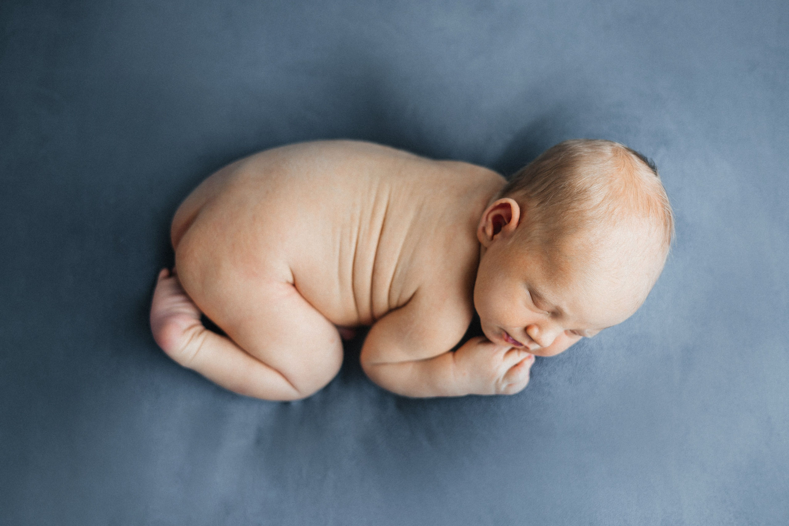 Леон, пакет «Премиум», 9 дней. Фотограф новорождённых Екатерина Боброва. Ульяновск