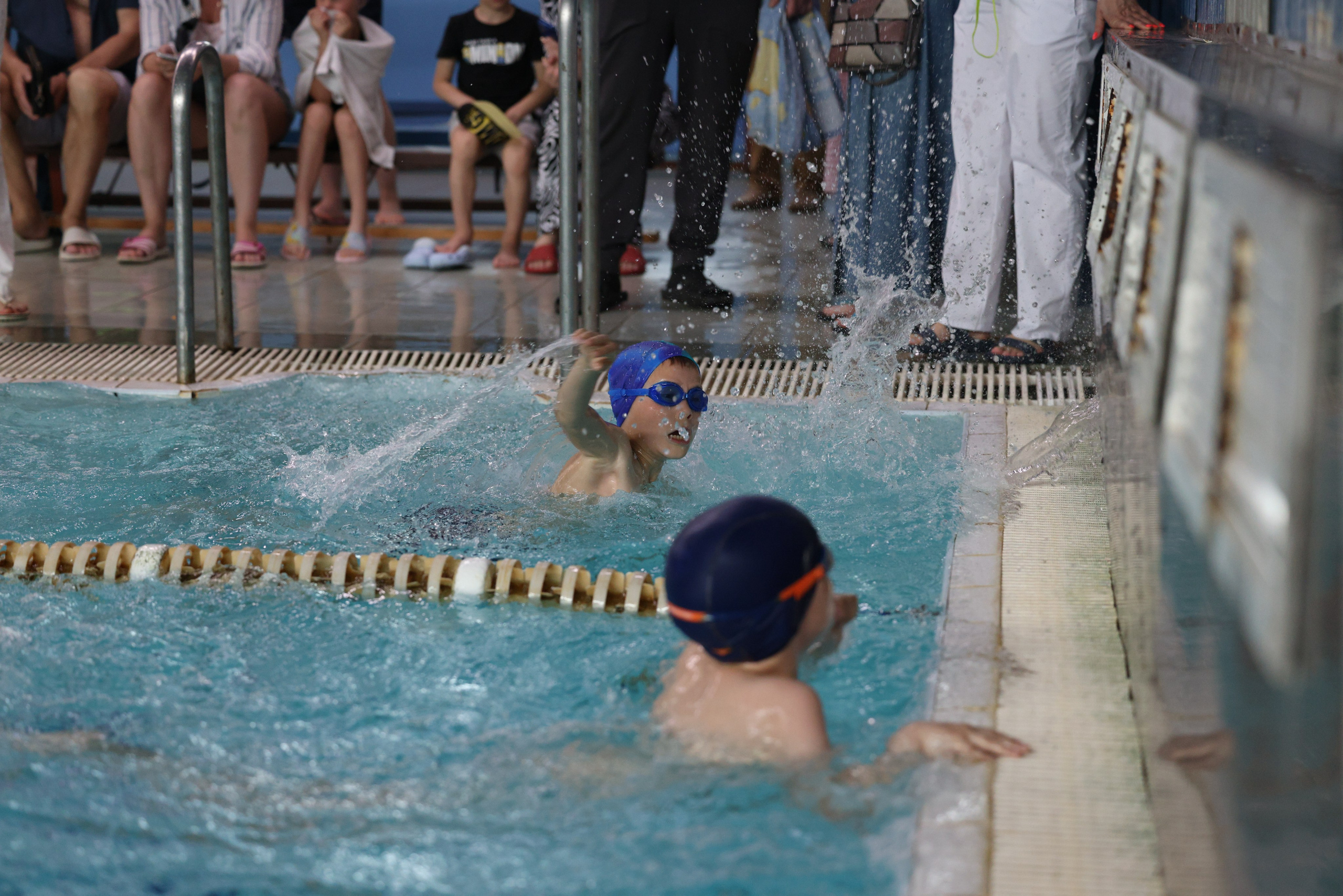 Веселый дельфин. Плавание. Дети 8-9 лет. Фотограф Александр Заломаев