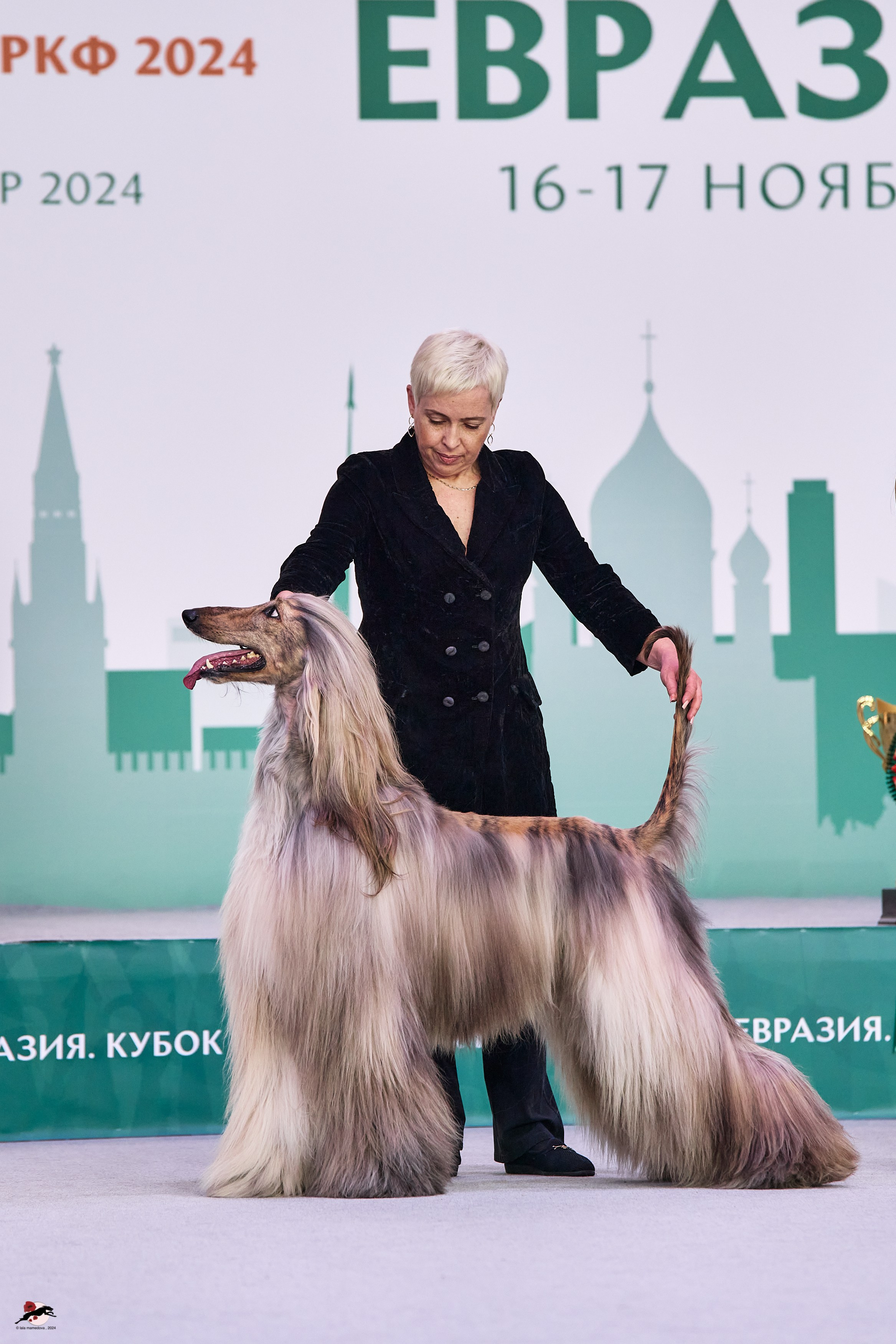 17.11.2024 «ЕВРАЗИЯ. КУБОК СНГ 2024»