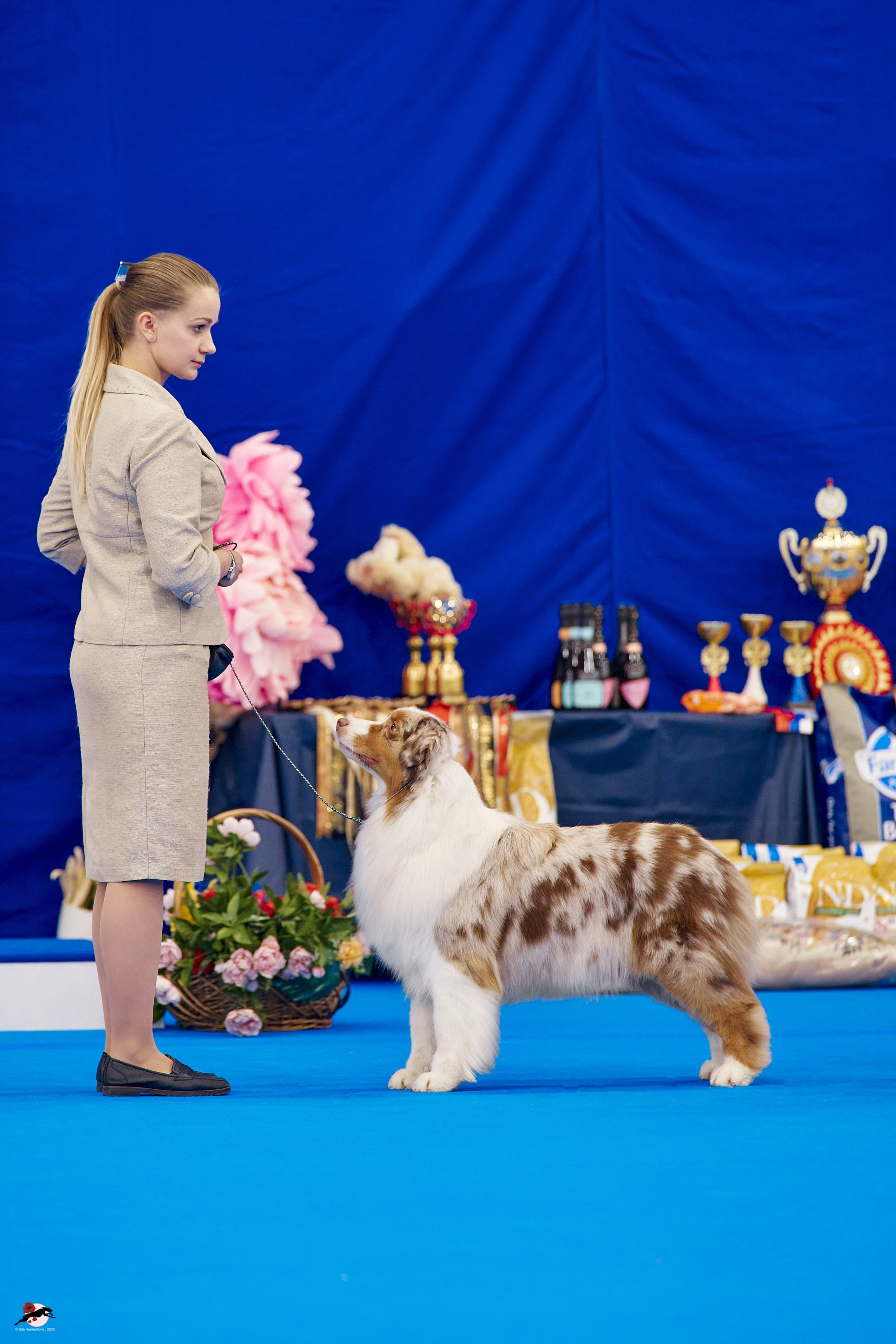 27.04.2025 | "Петербург-Элита 2025" & «КУБОК «ЭЛИТЫ»-2025»