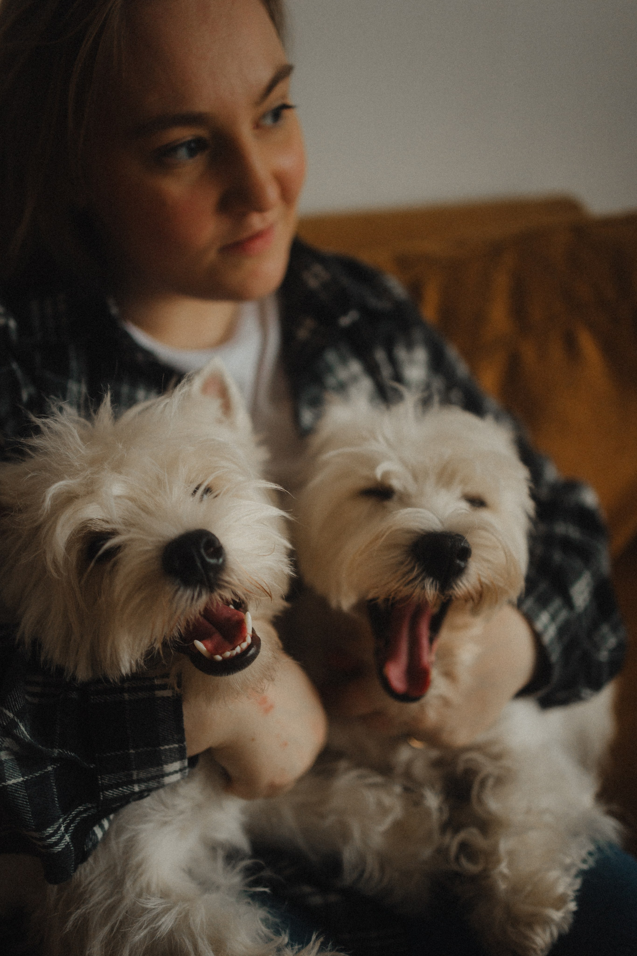 Вероника, Мята и Малина. Фотораф — анималист Мария Шистка