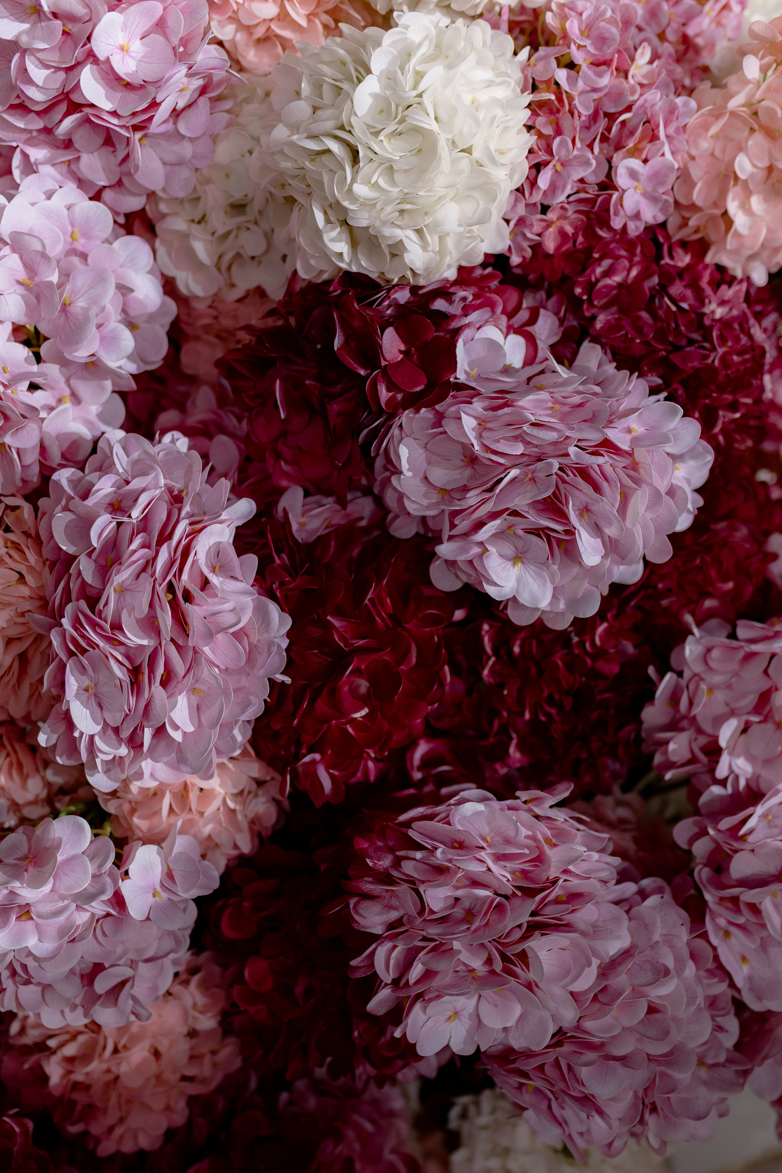 Свадьба Даниила и Анастасии. Дмитрий Позняк — свадебный фотограф в Брянске. Личный сайт фотографа