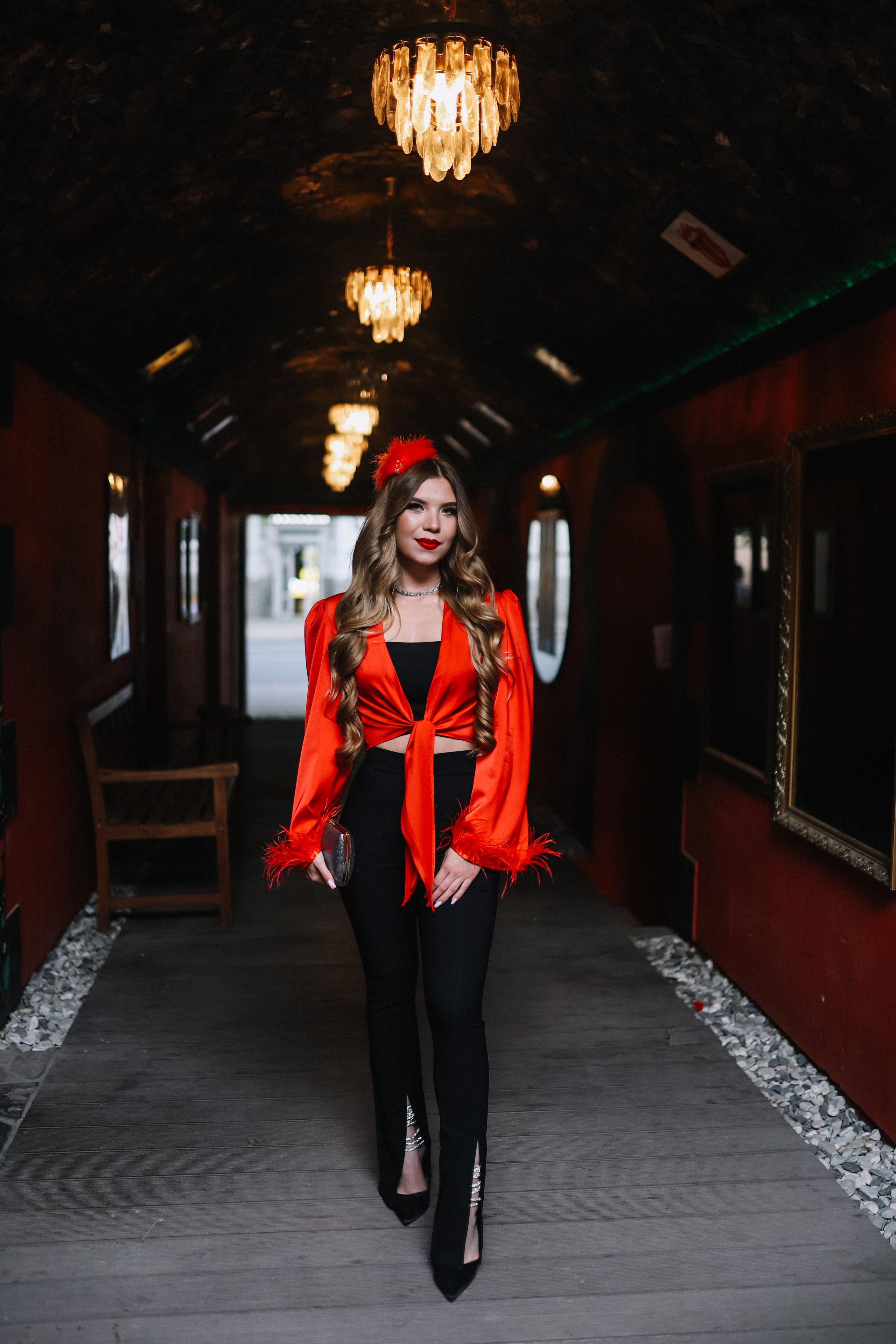 25.Диана и гости