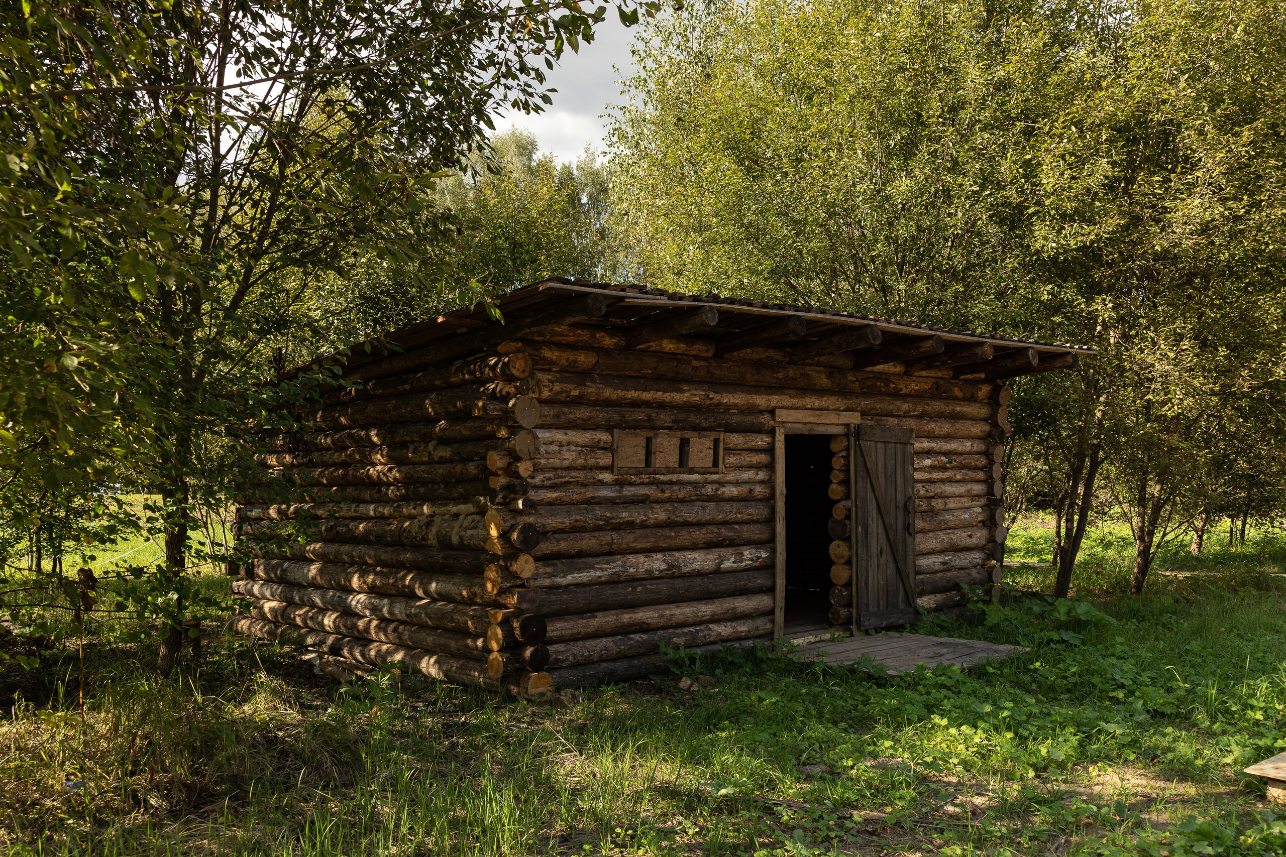 Кинопарк «Москино». Лисенкова Алиса — Фотограф, видеомейкер. Москва