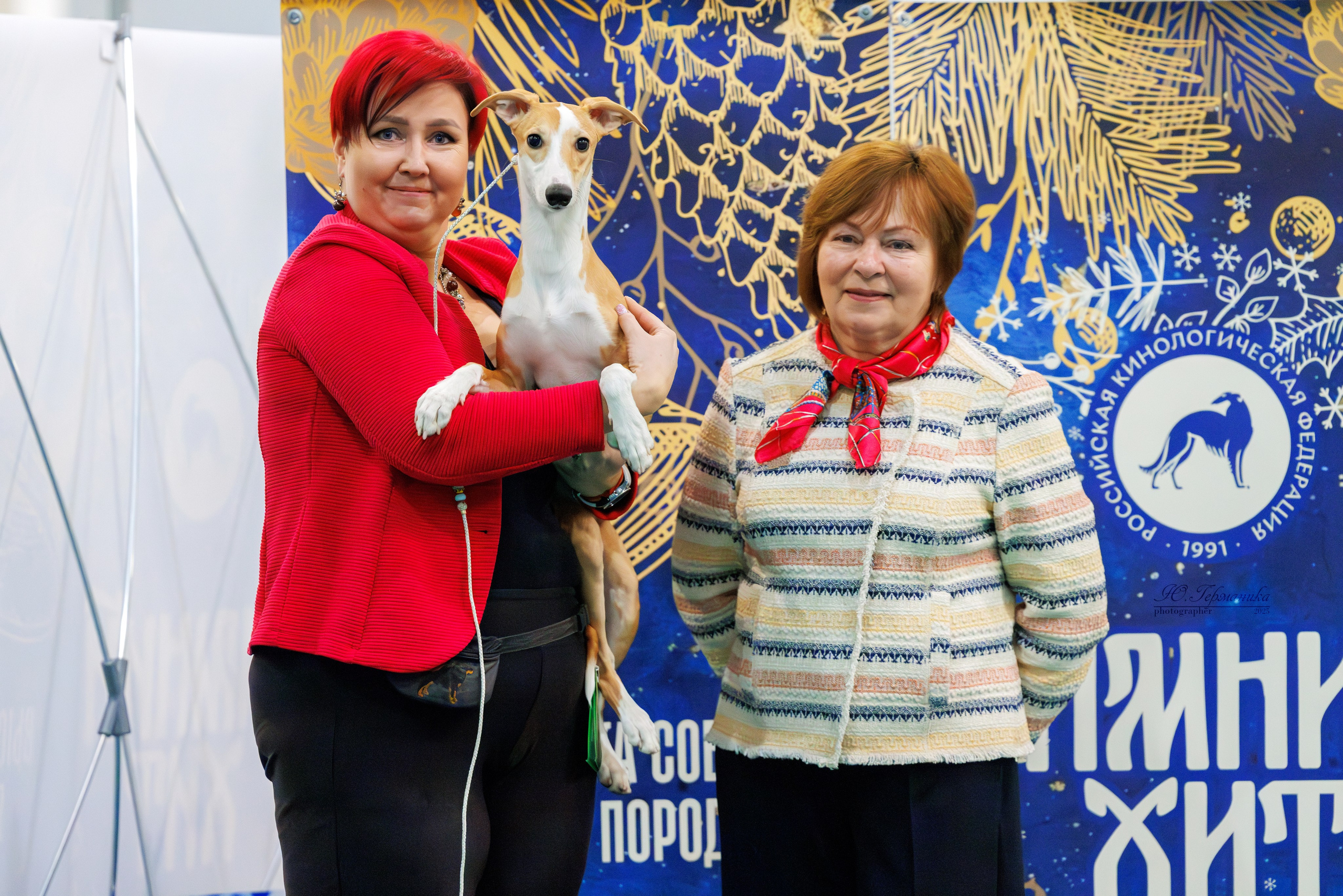 Питер ротвейлеры 18.01,Крокус 19.01.2025. Фотограф-анималист Юлия Германика