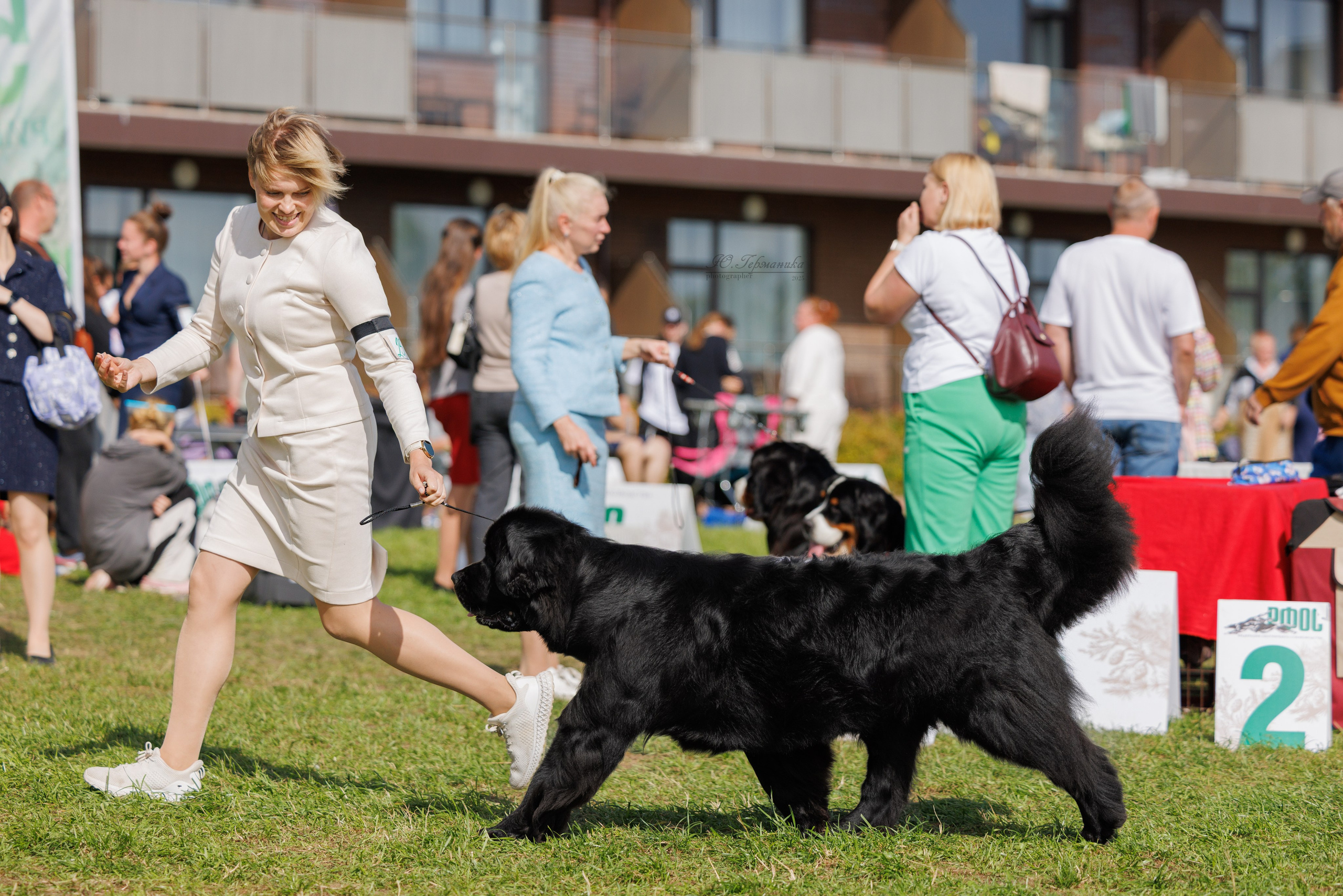 Переславль 5-7.08.2025. Фотограф-анималист Юлия Германика