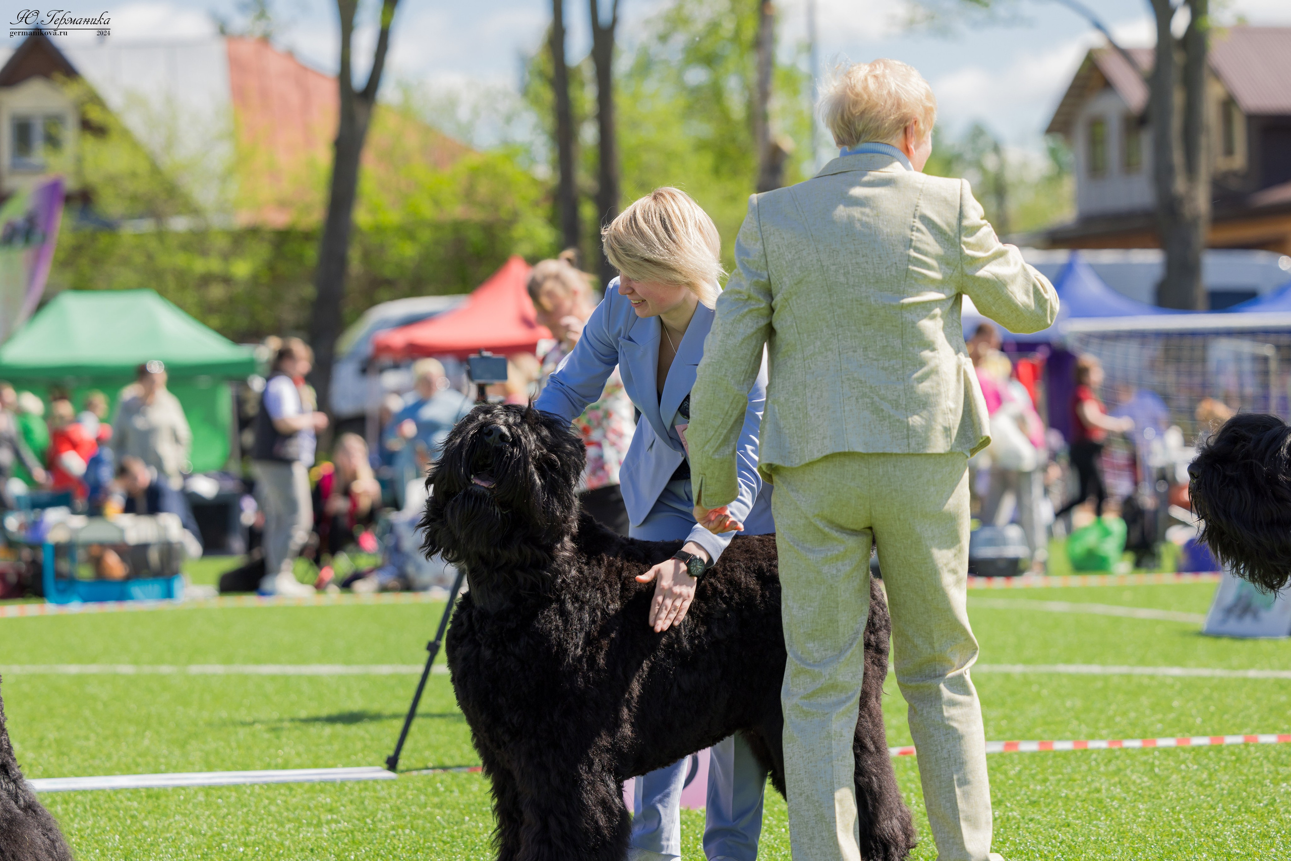 Суздаль 18-19.05.2024. Фотограф-анималист Юлия Германика