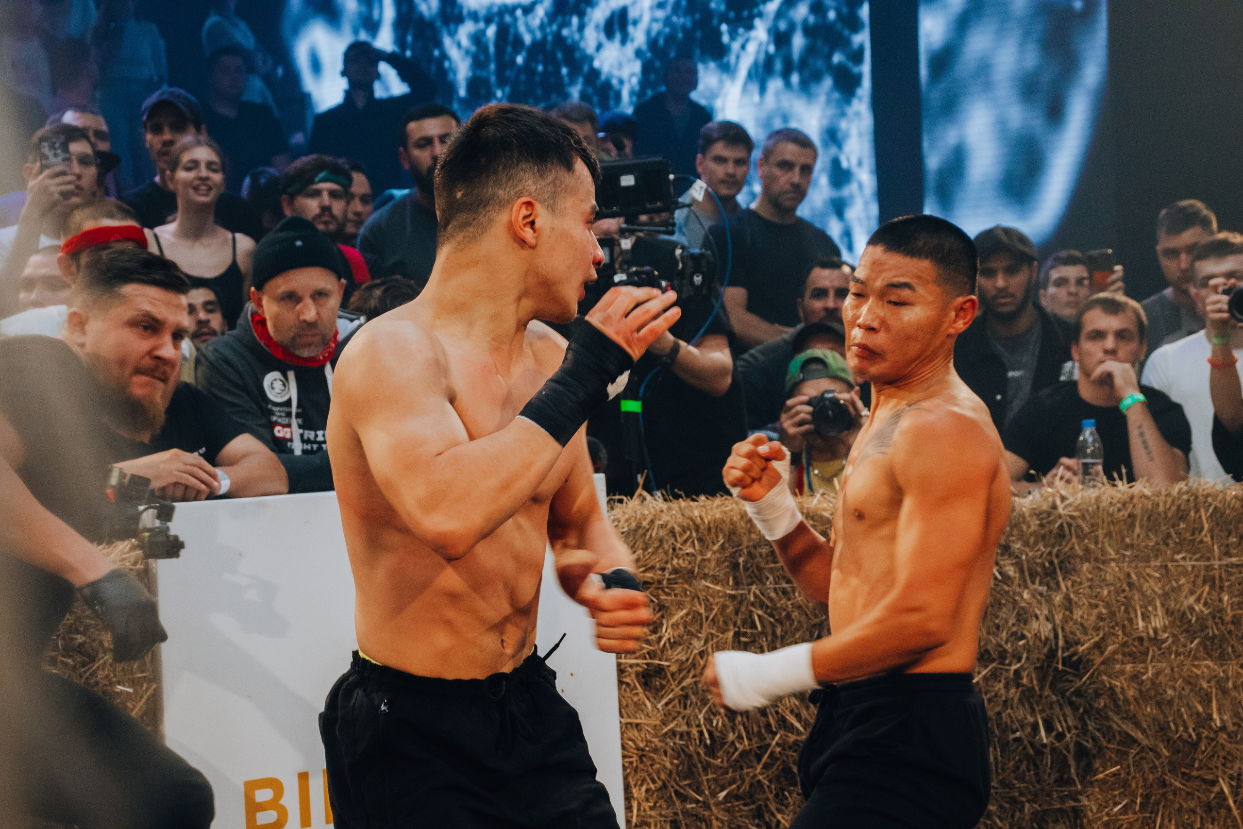 Кулачные бои TopDog. Анастасия Тен