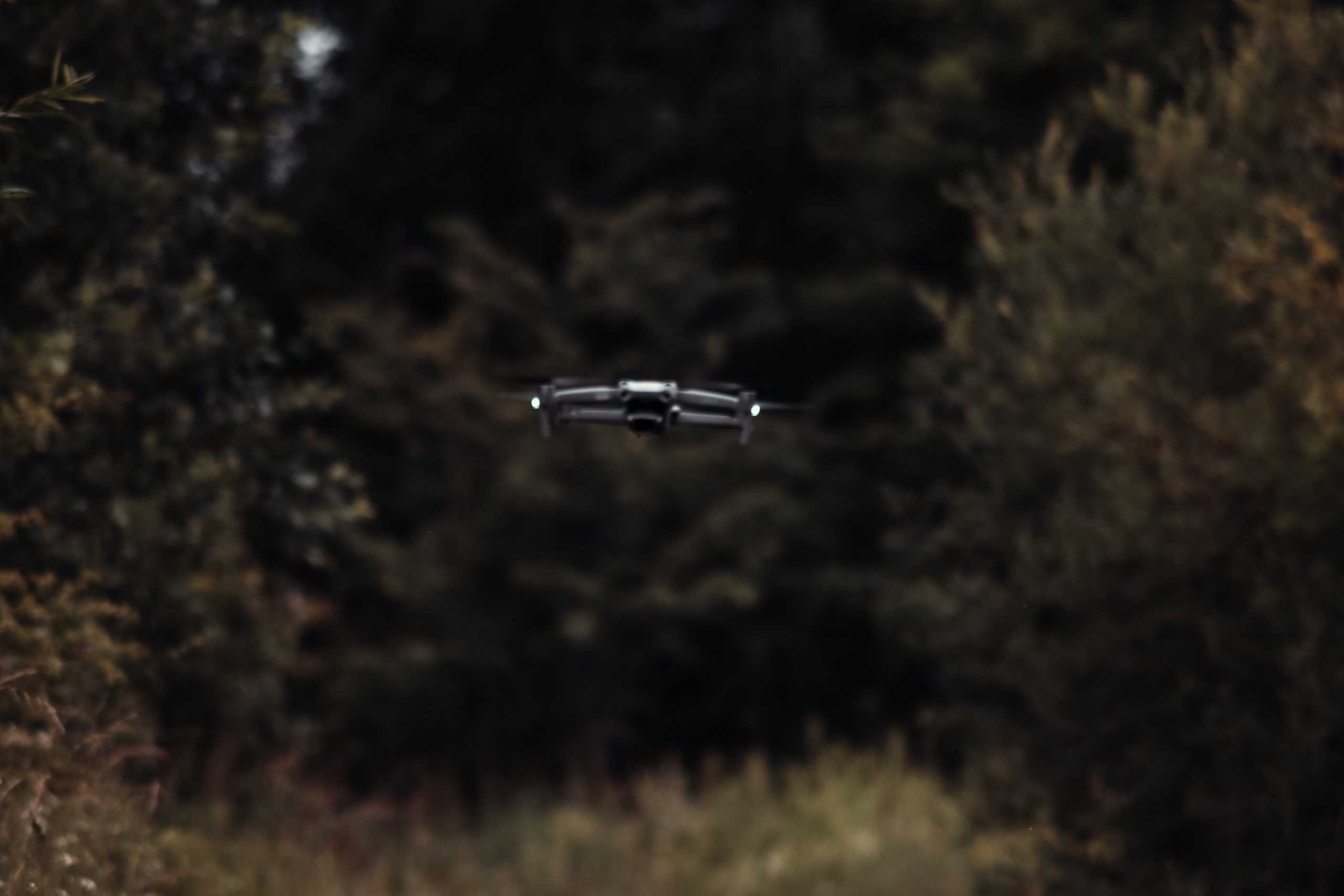 Никита П. (Лесной Массив). — Digital Noise —