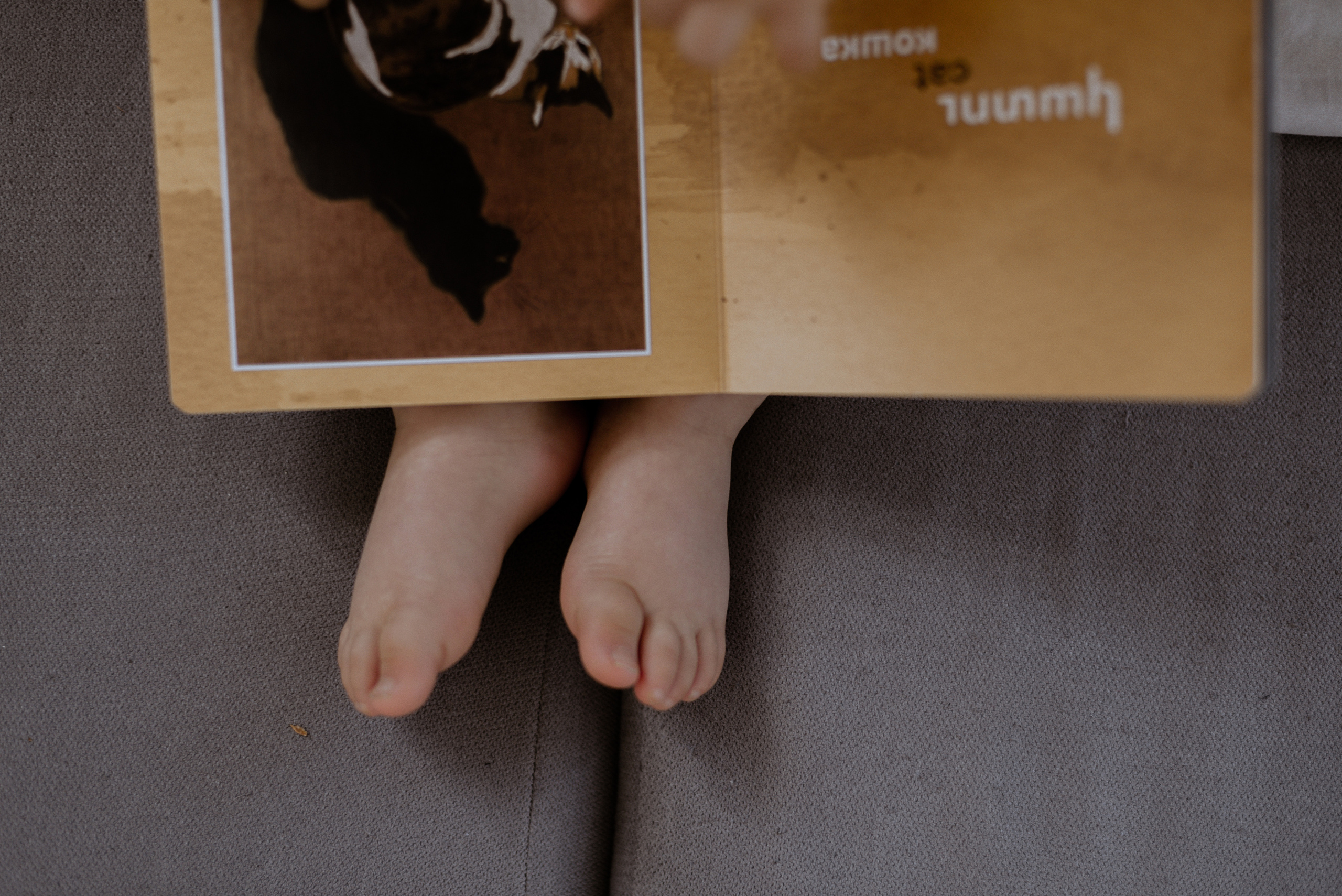 СЕМЕЙНАЯ / БЕРЕМЕННОСТЬ. Фотограф в Москве Челомина Нина