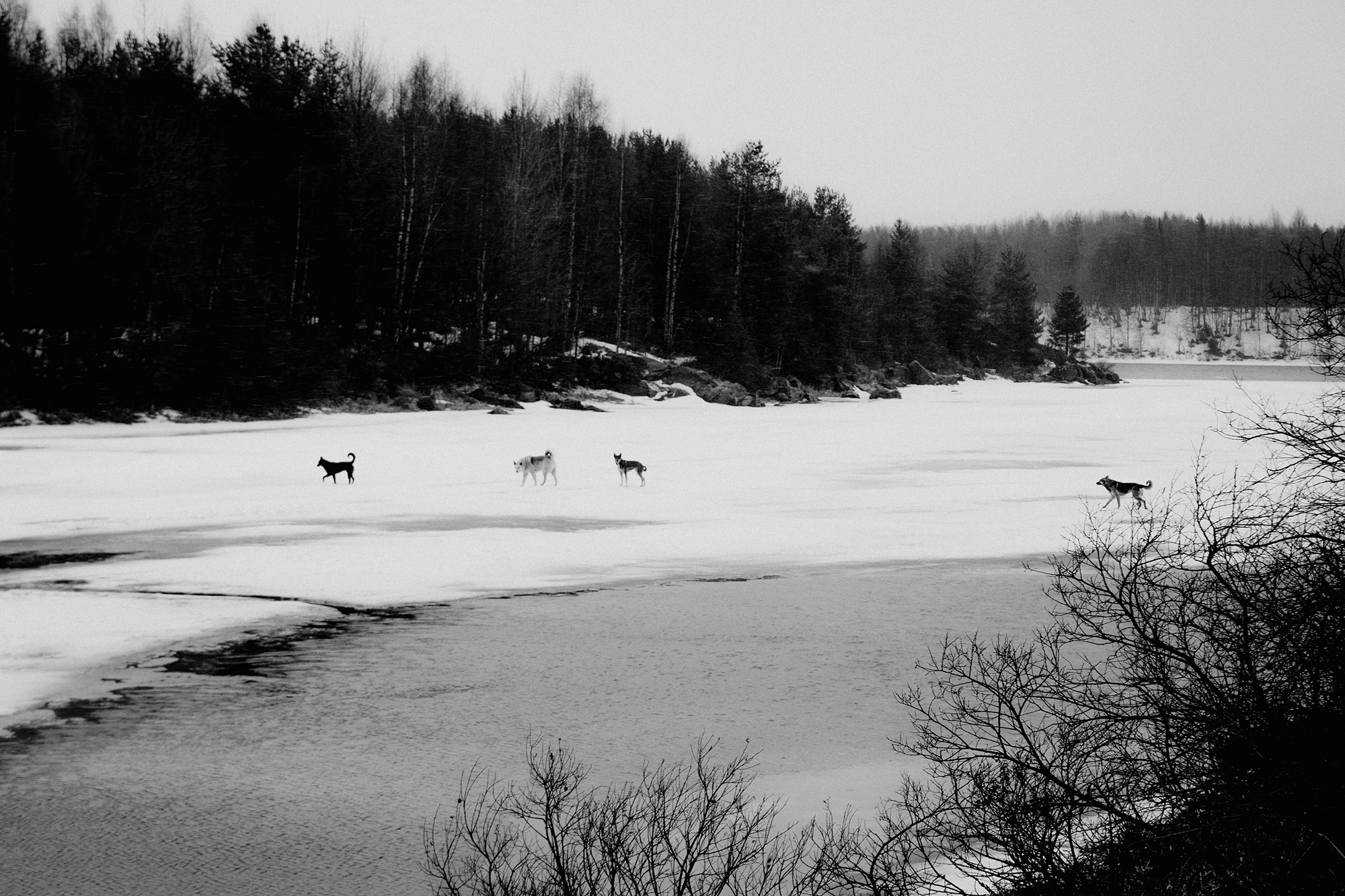 № 1. WAYHAY — Портретный фотограф