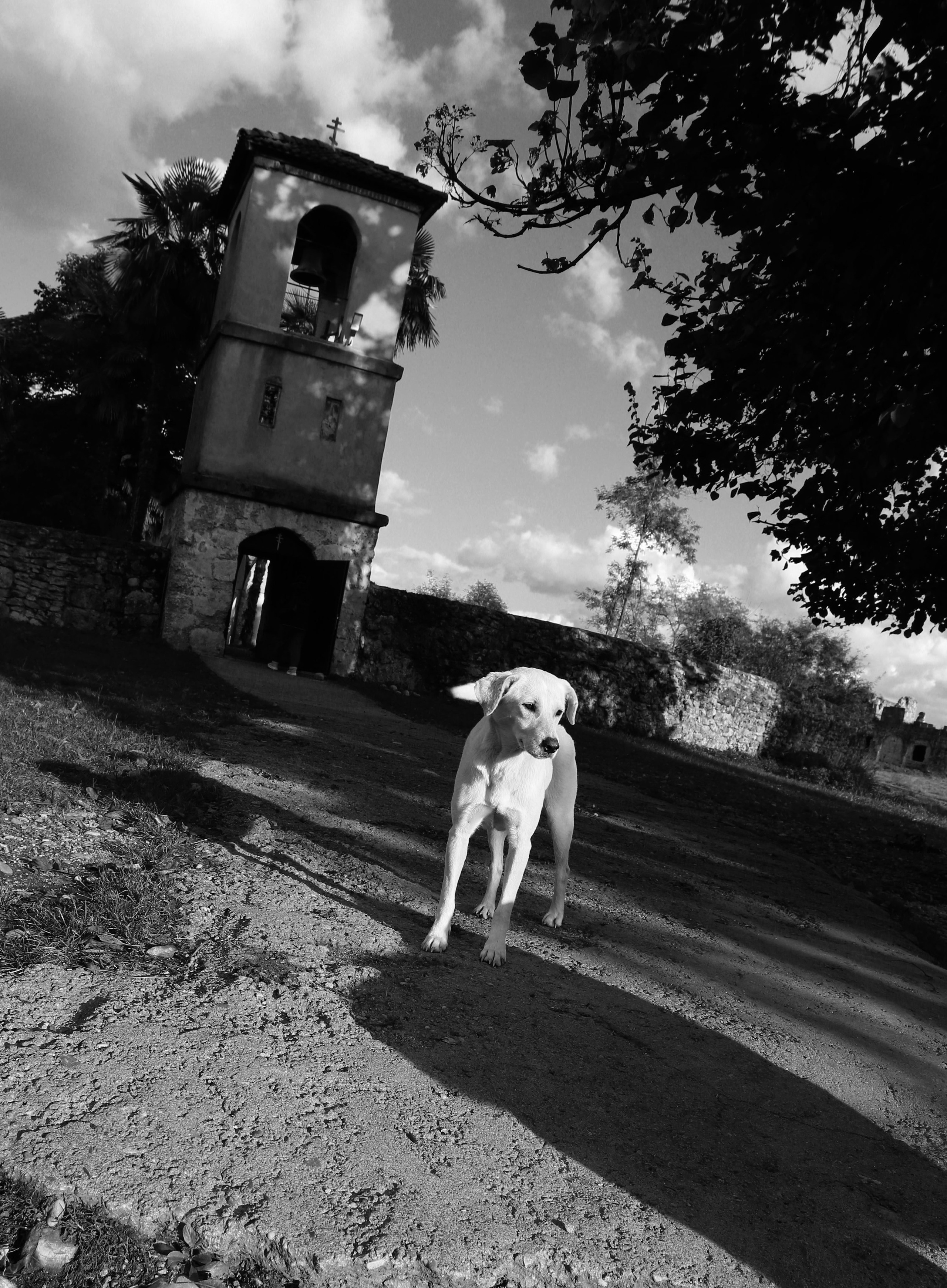 Документальное. Фотограф и оператор в Санкт-Петербурге