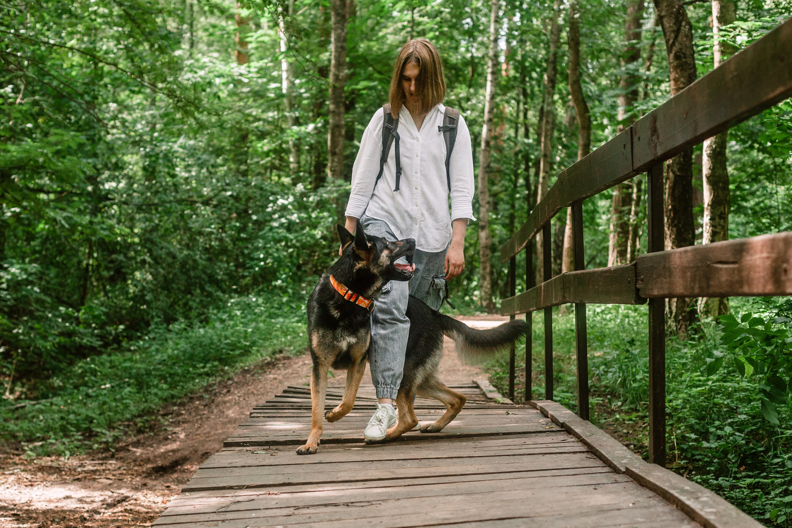 Лесная летняя фотопрогулка. Фотограф-анималист Татьяна Степанова