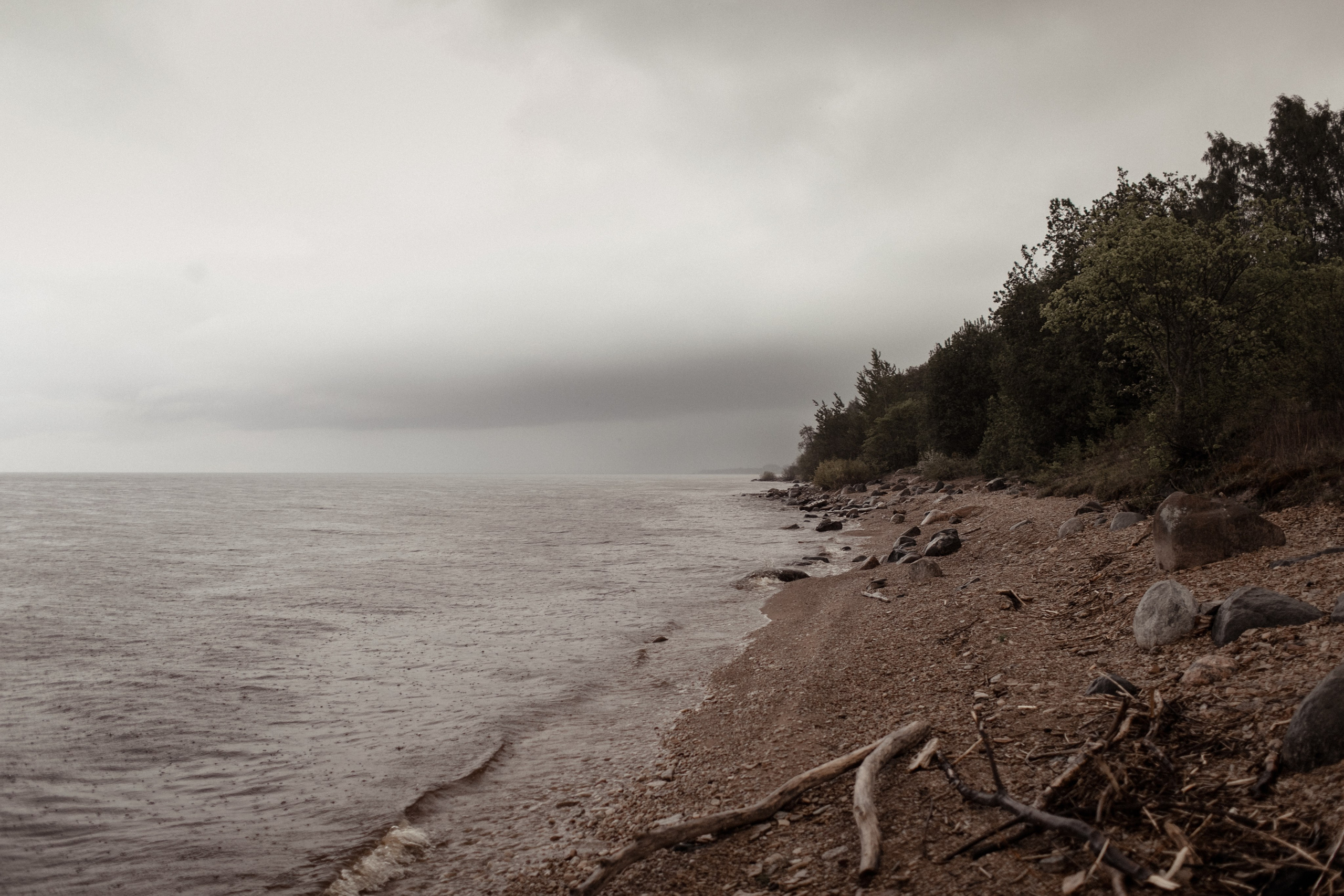 Ксюша и Артем. Свадебный и семейный фотограф Татьяна Ласкина в Великом Новгороде