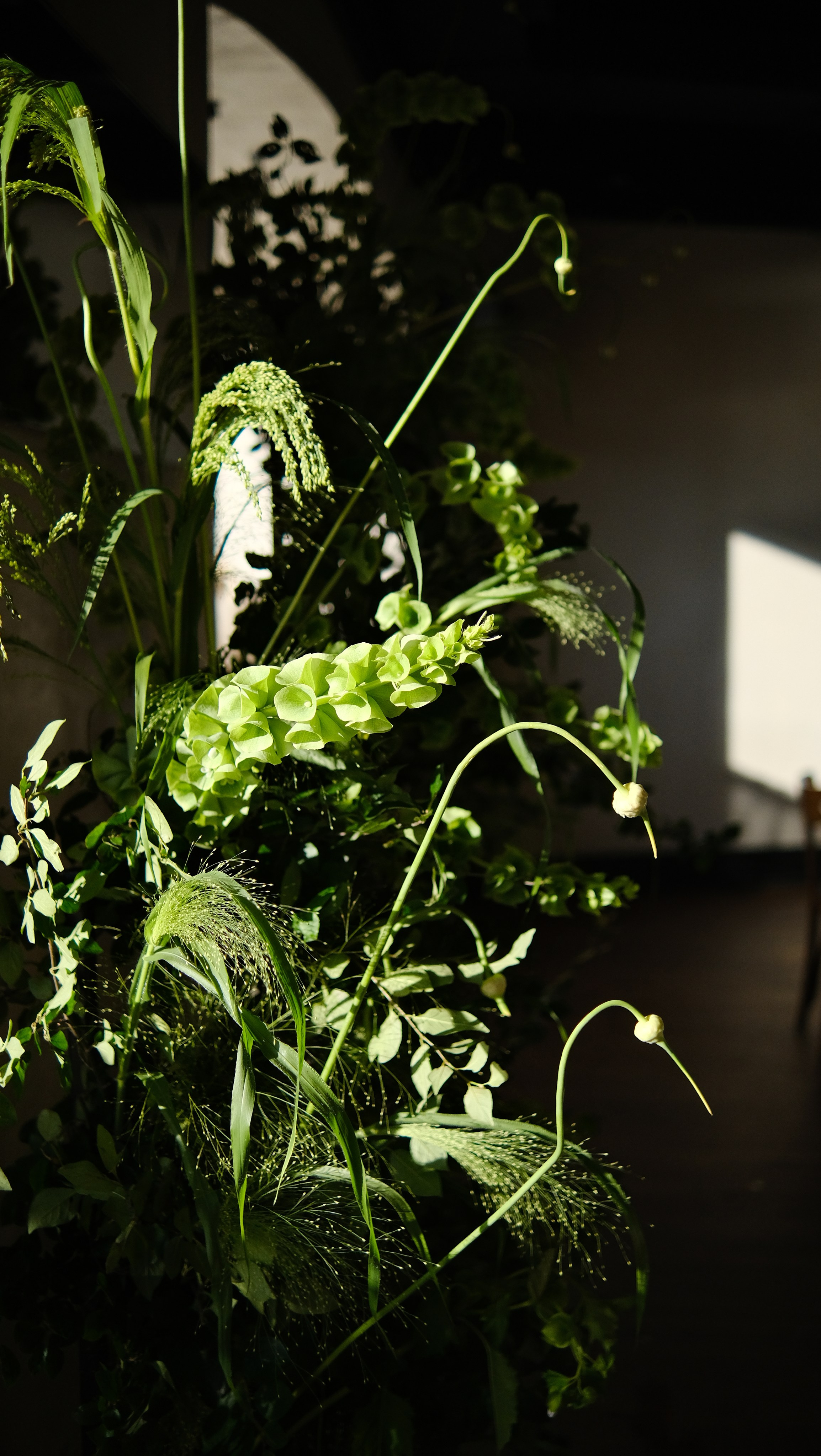 Сва. Флористика и декор в Санкт-Петербурге