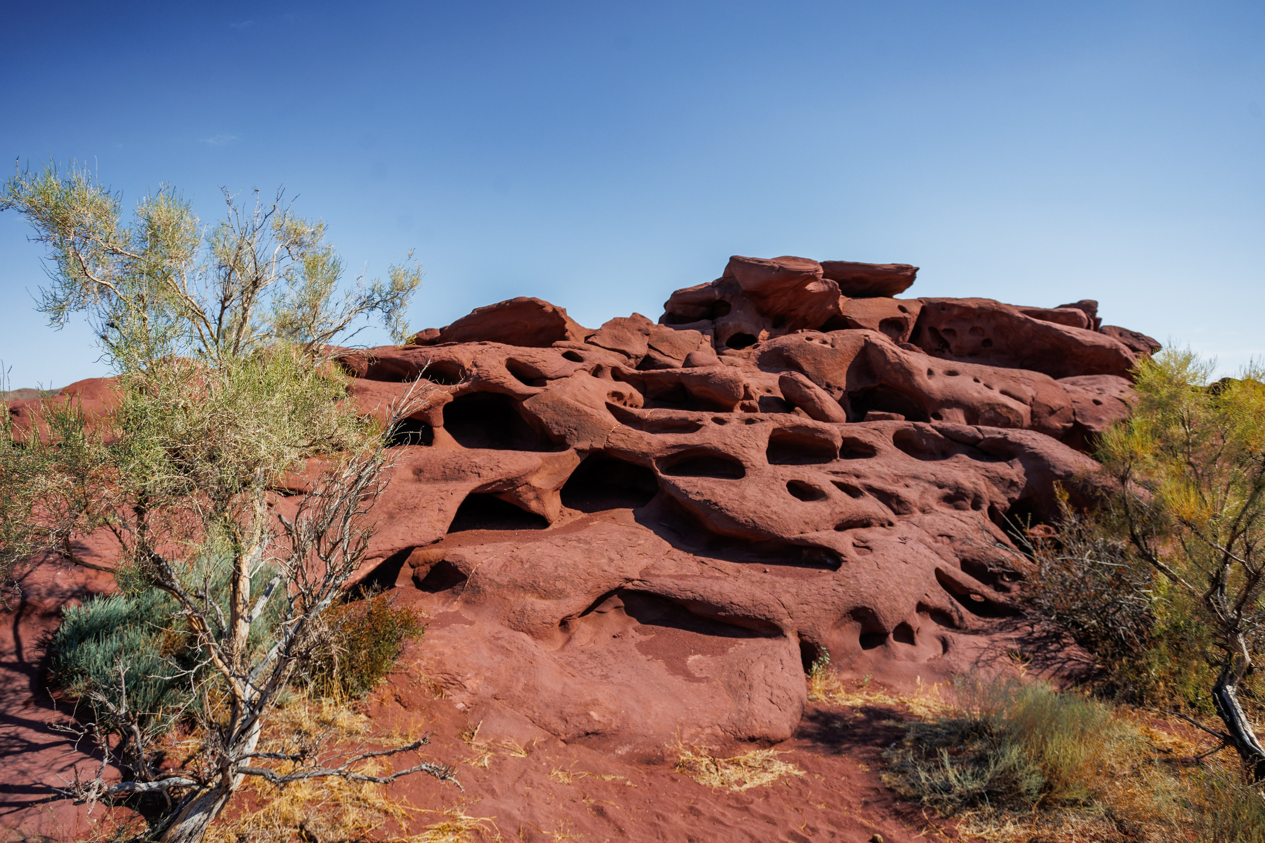 Алтын Эмель. Экскурсии и туры по Алматы