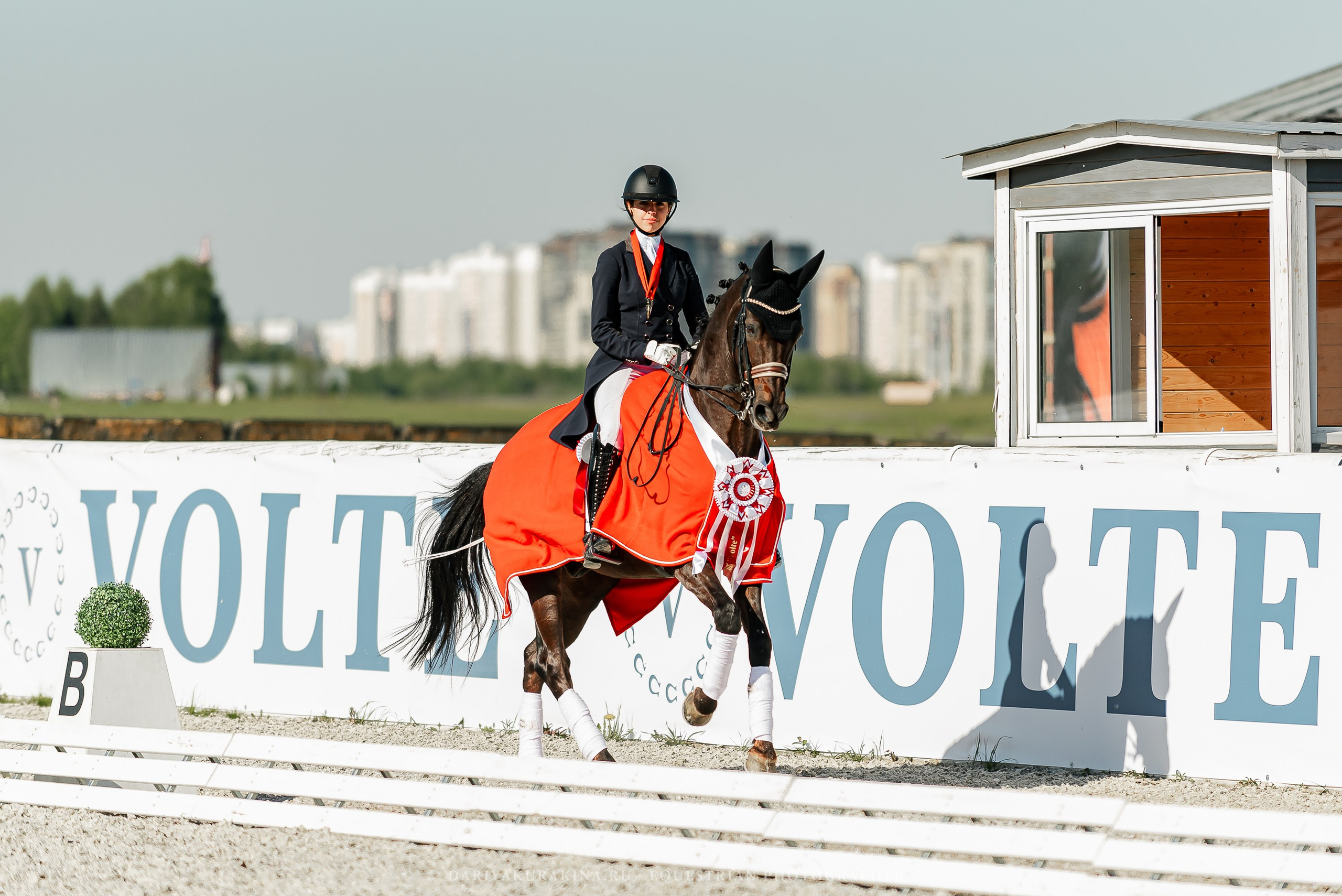 РЕПОРТАЖ МКК ВОЛЬТ «LA TULIPS». Конный фотограф Куракина Дарья • Фотосессии с лошадьми