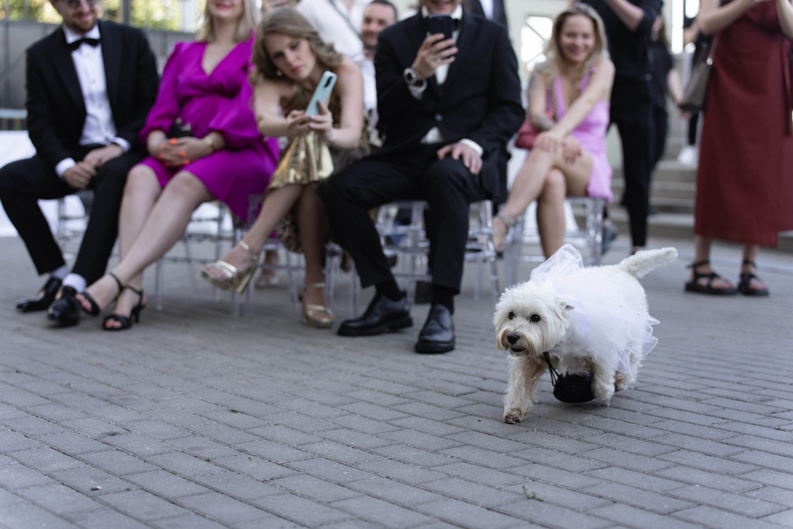 Четыре сезона. Фотограф в Санкт-Петербурге Александр Дымов