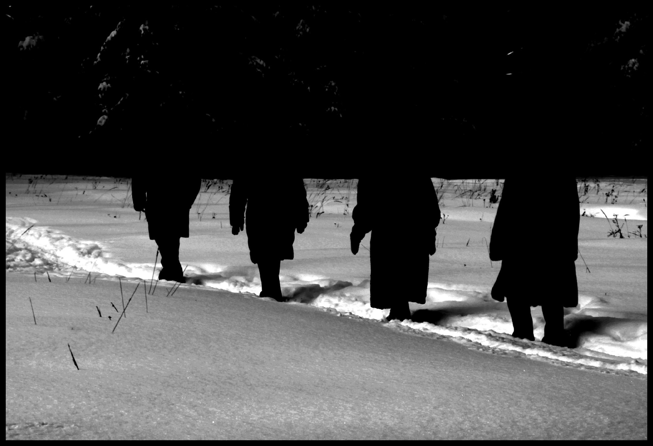 Работы. Свадебный фотограф в Москве Сафонова Анна