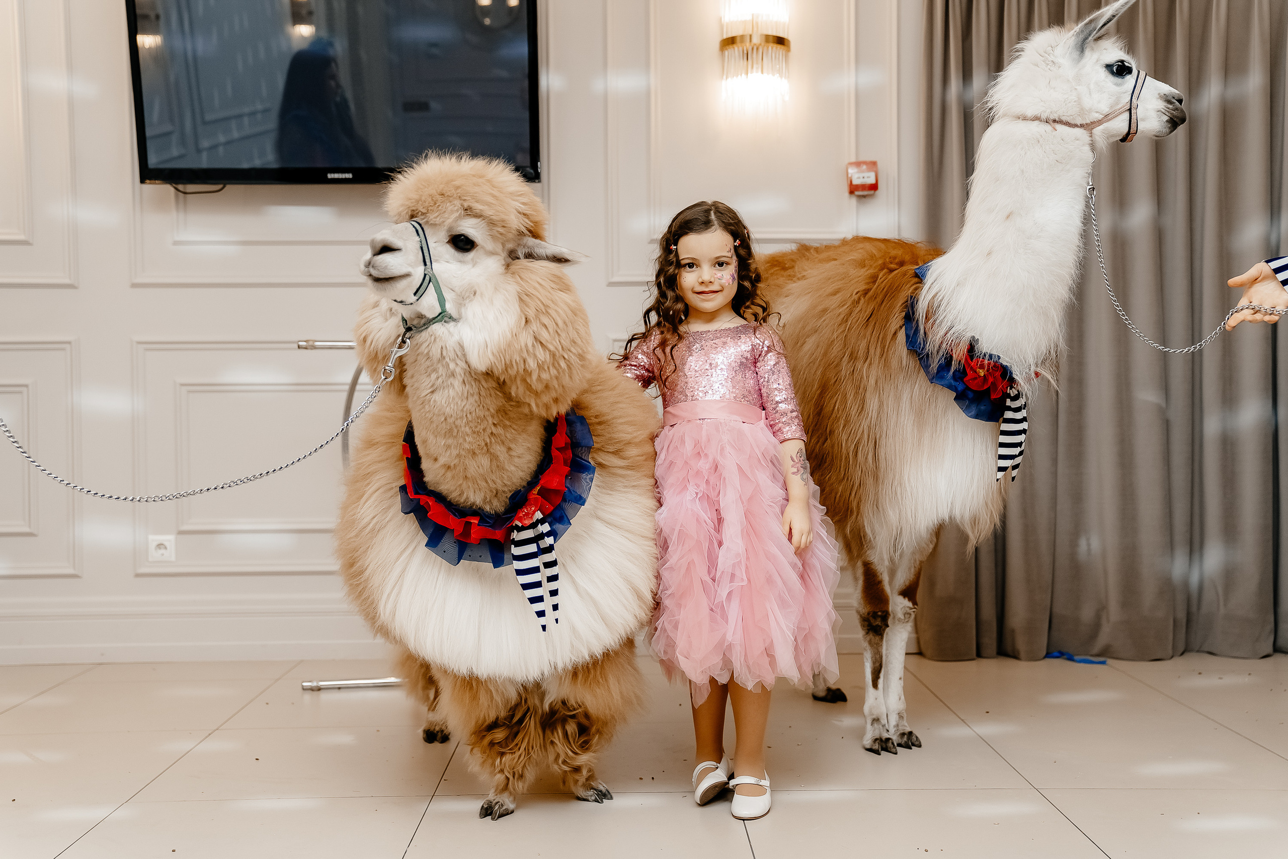 Фотосессия на детский день рождения. Свадебный и семейный фотограф в Москве Светлана Зоткина