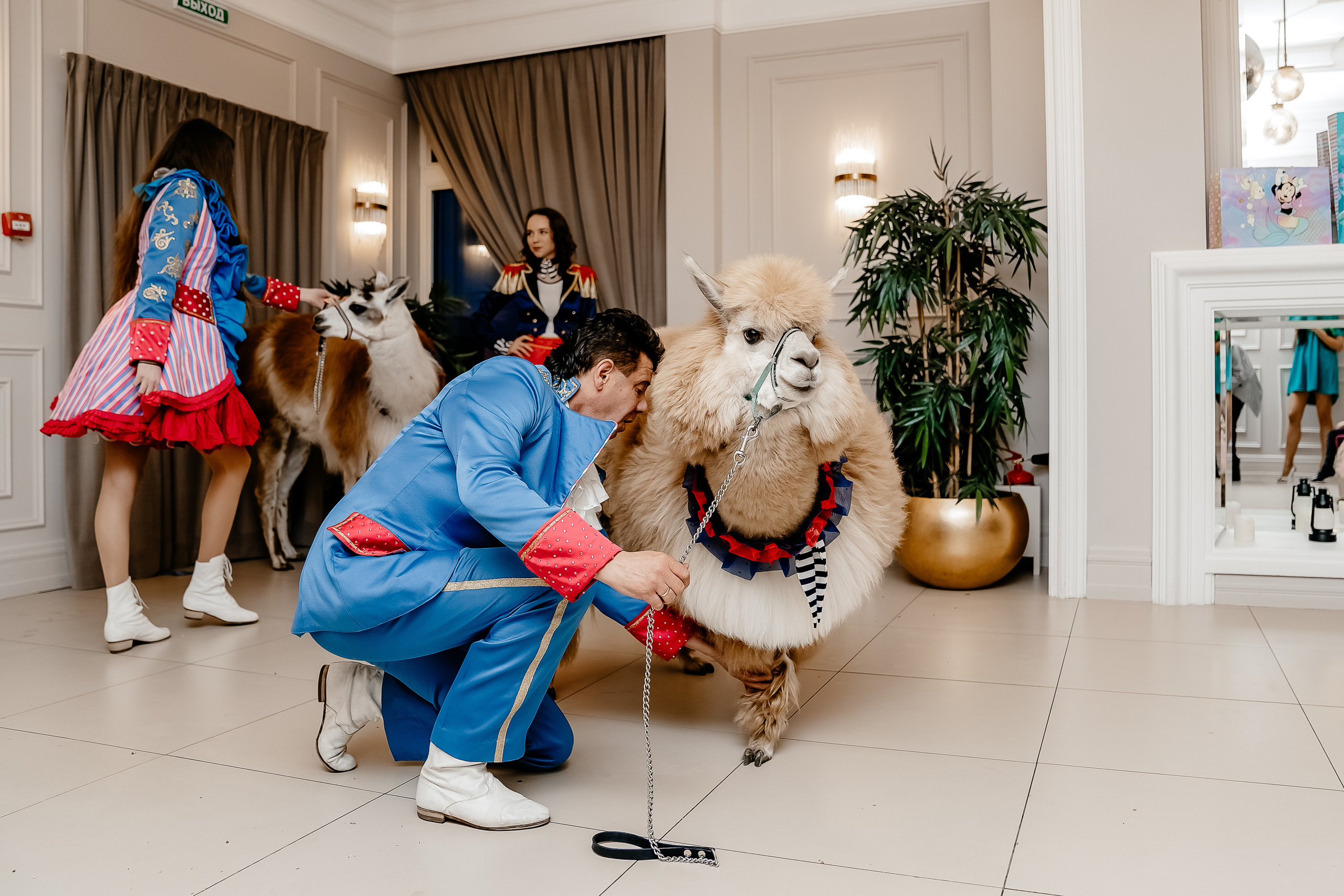 Фотосессия на детский день рождения. Свадебный и семейный фотограф в Москве Светлана Зоткина