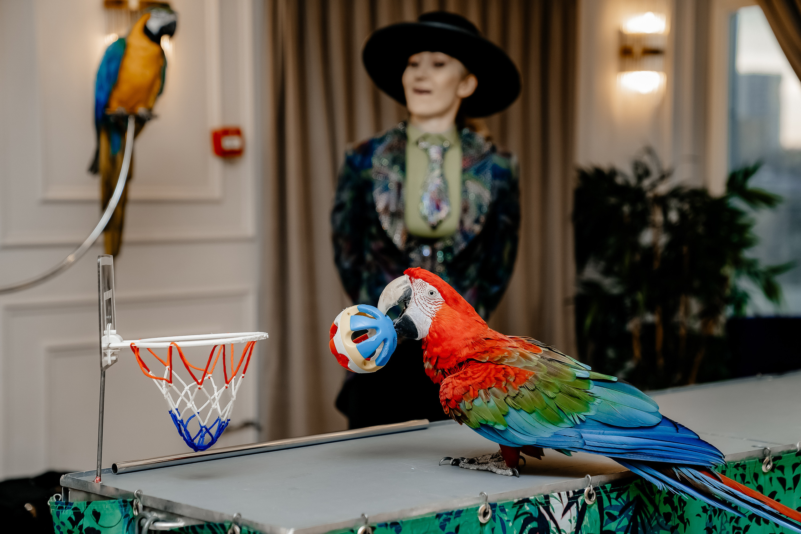 Фотосессия на детский день рождения. Свадебный и семейный фотограф в Москве Светлана Зоткина