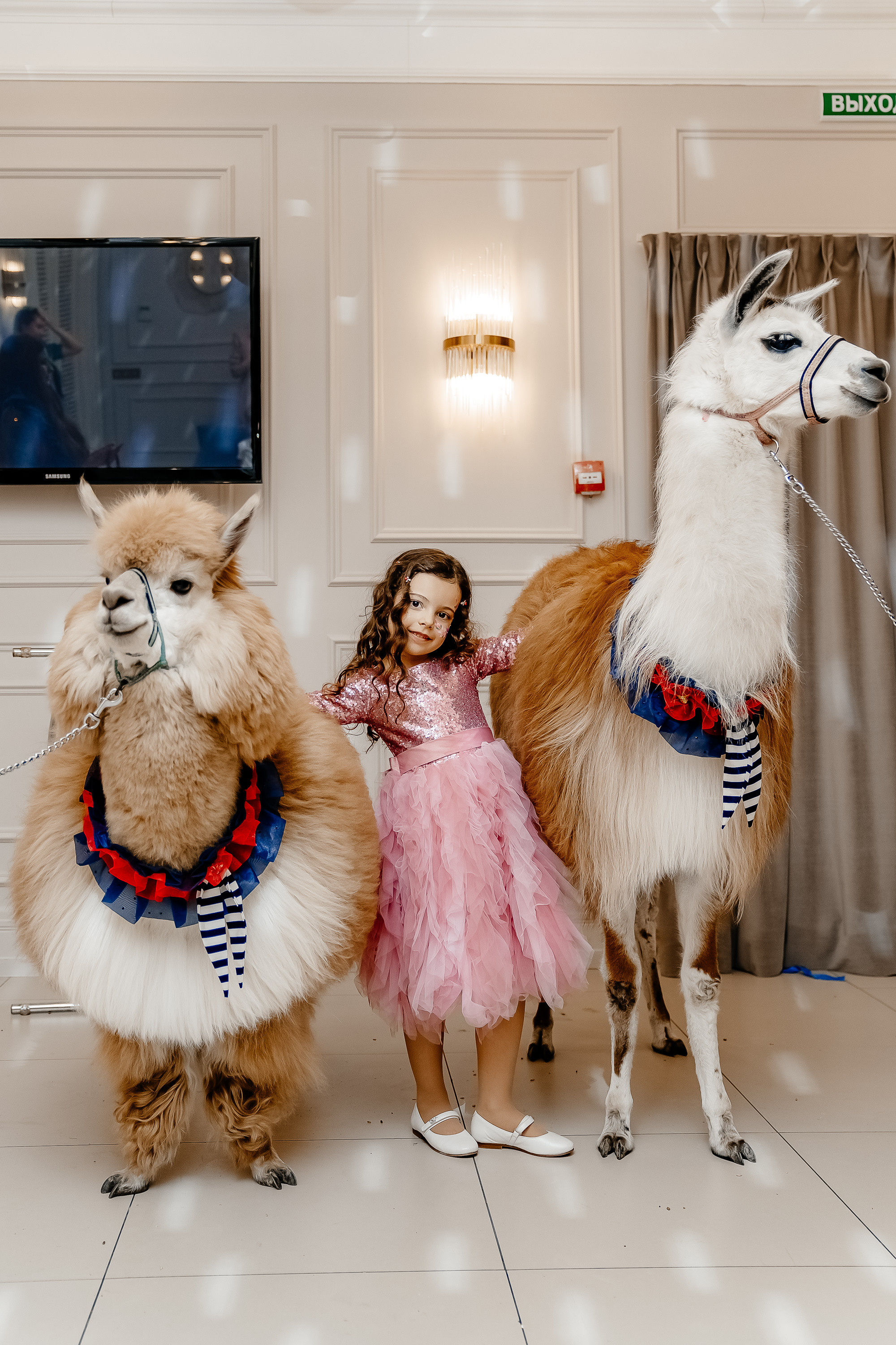 Фотосессия на детский день рождения. Свадебный и семейный фотограф в Москве Светлана Зоткина