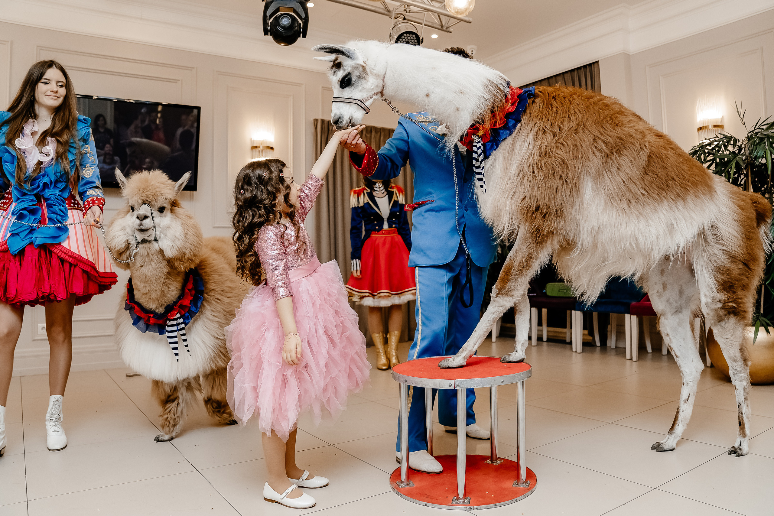 Фотосессия на детский день рождения. Свадебный и семейный фотограф в Москве Светлана Зоткина