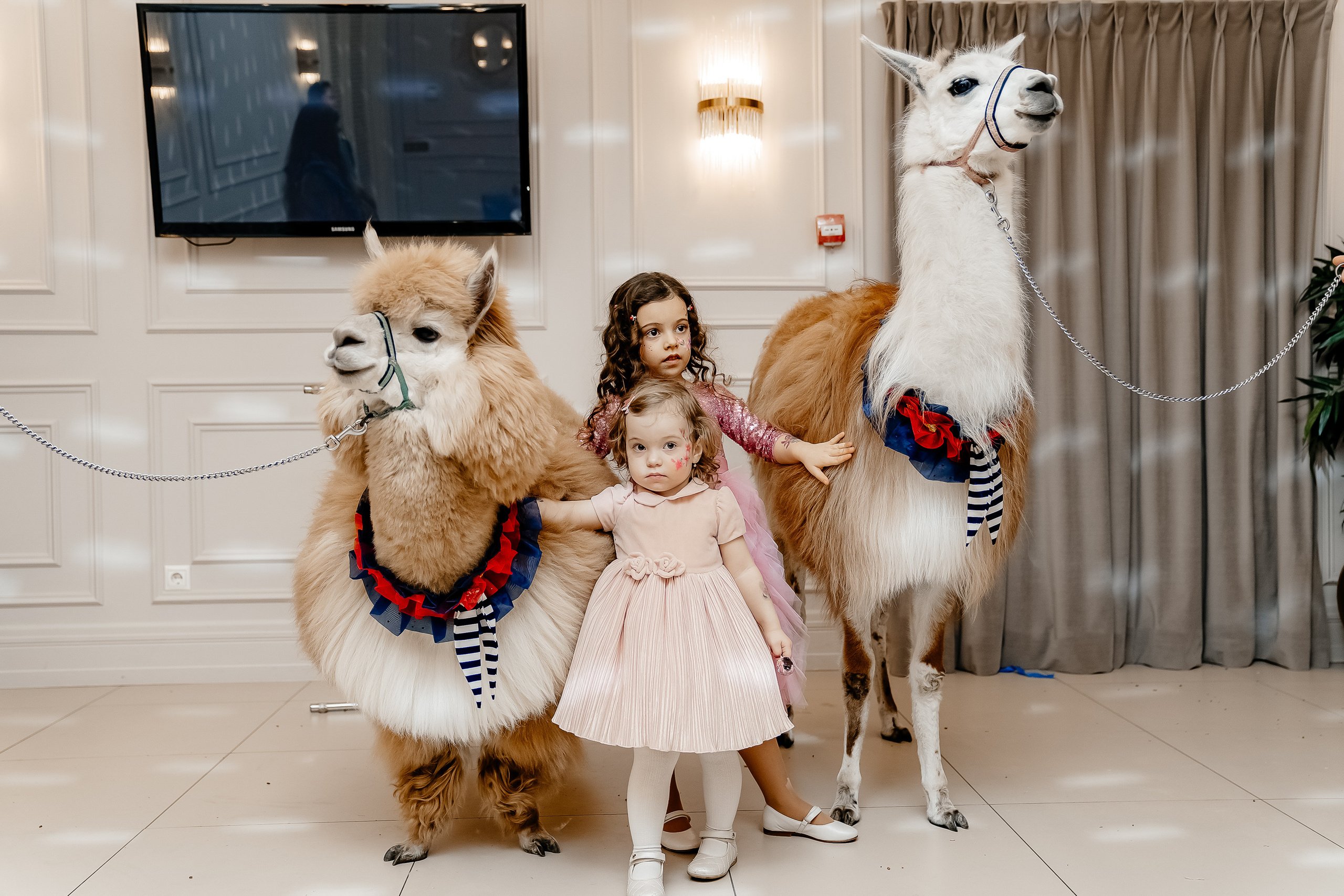 Фотосессия на детский день рождения. Свадебный и семейный фотограф в Москве Светлана Зоткина