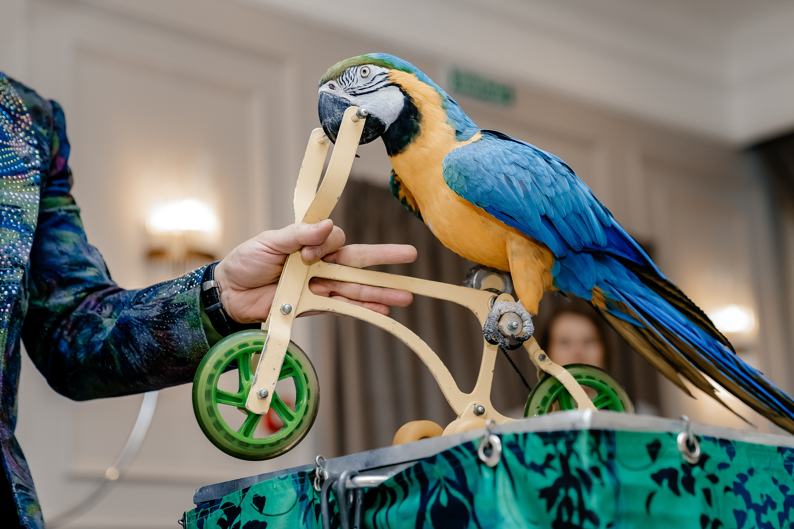 Фотосессия на детский день рождения. Свадебный и семейный фотограф в Москве Светлана Зоткина