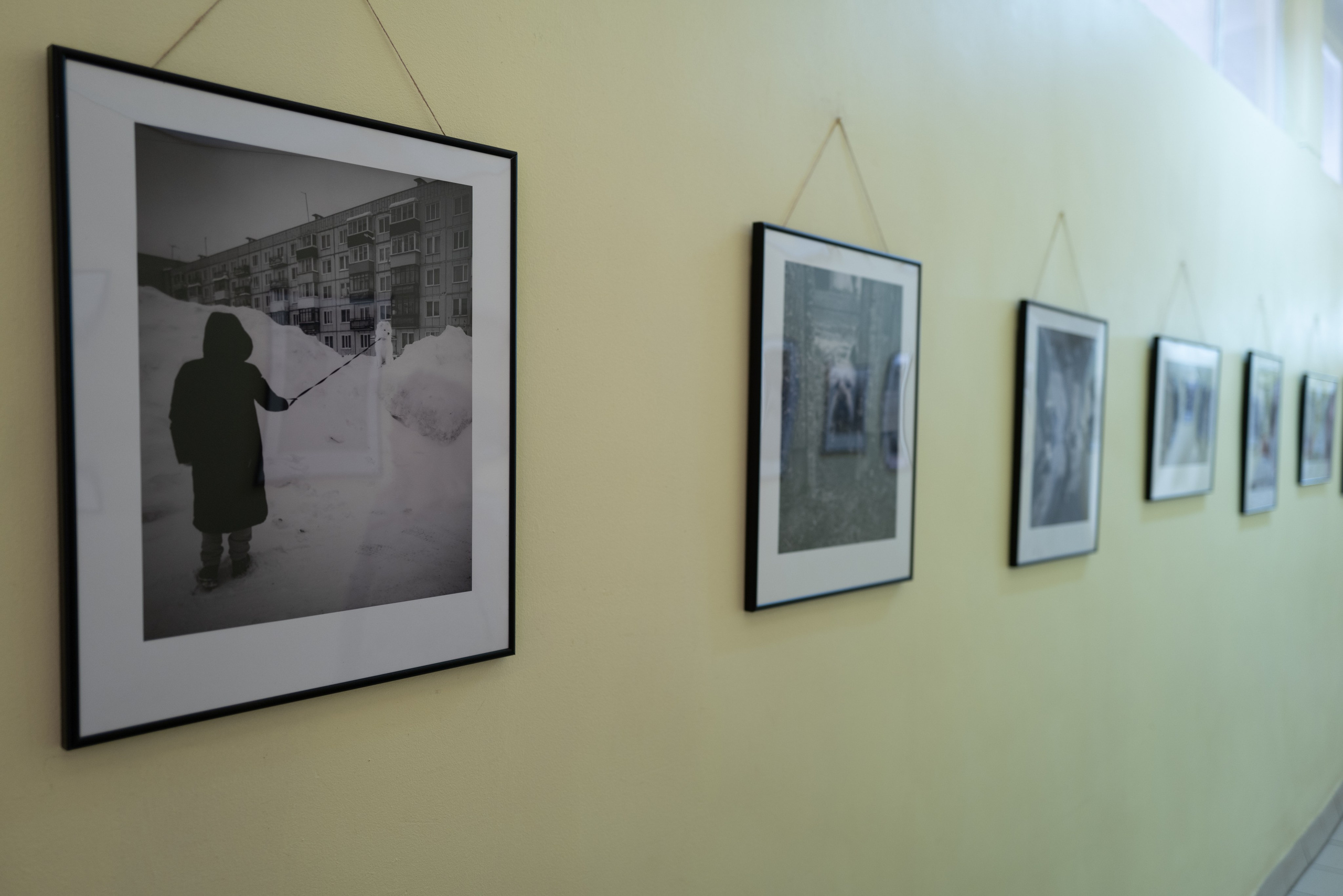 Выставка 01.04.2025. Фотограф Александр Тихонов