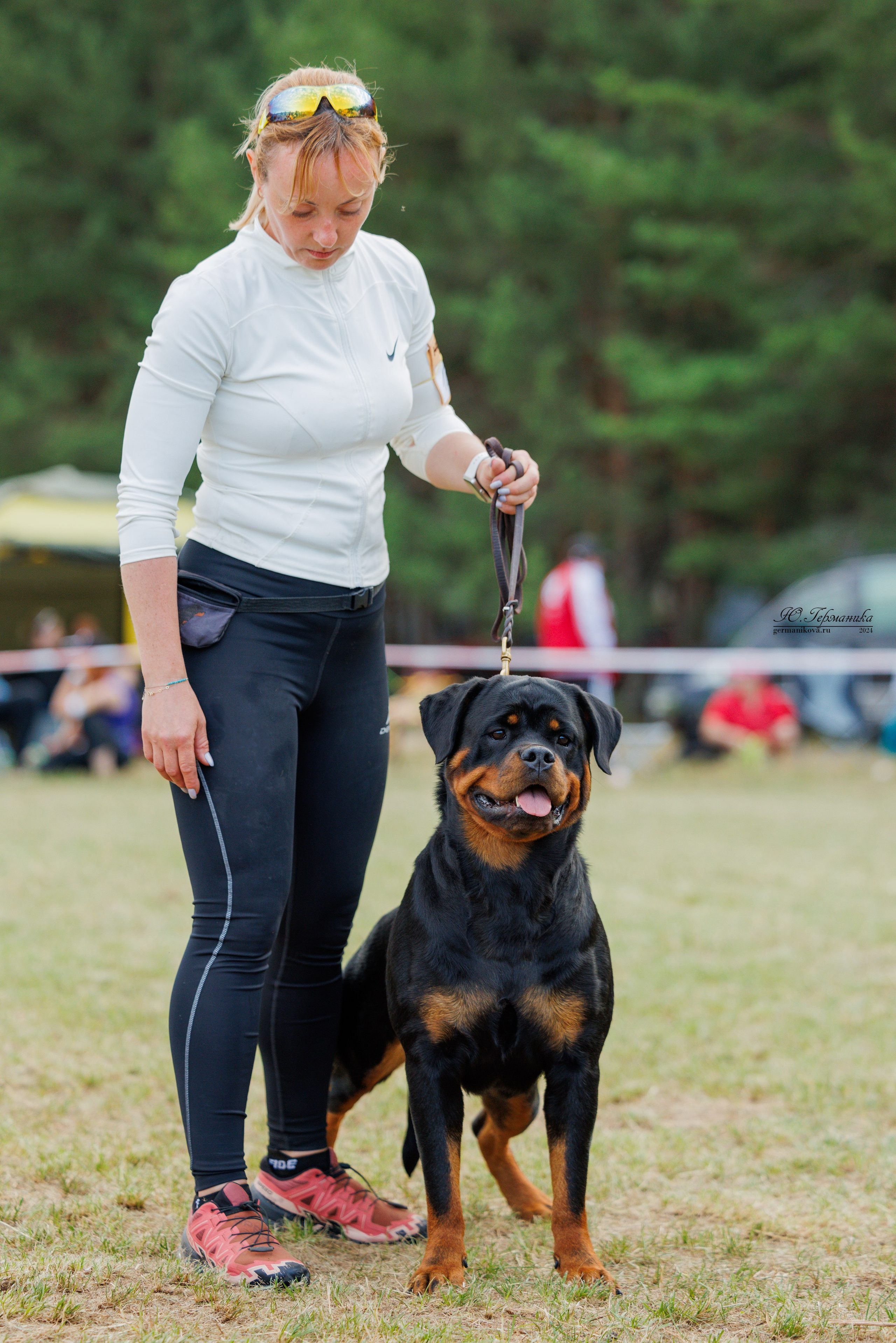 ПК и КЧК ротвейлеры Тверь 6-7.07.2024. Фотограф-анималист Юлия Германика